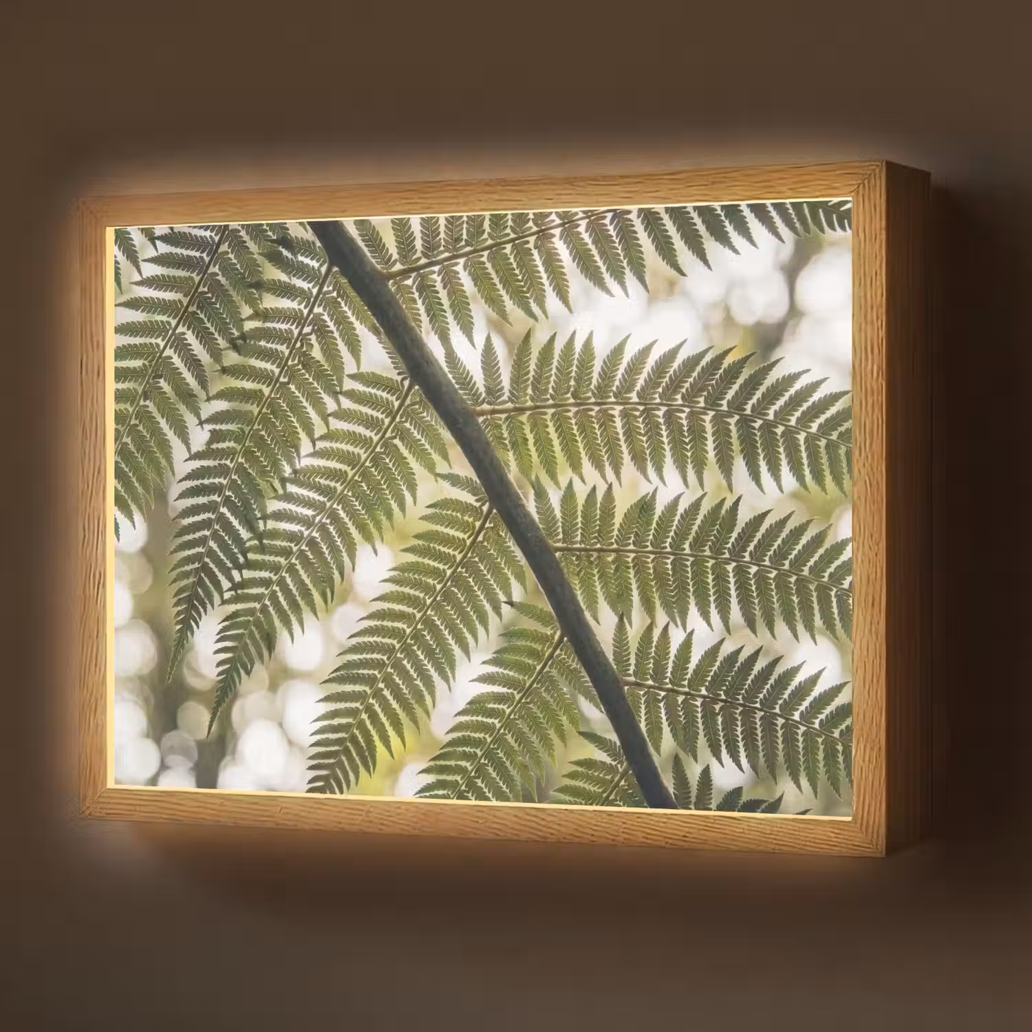 Plant - Blad - Natuur - Groen - Detail Light Box met batterij (Wandlamp) middel -z3d_website