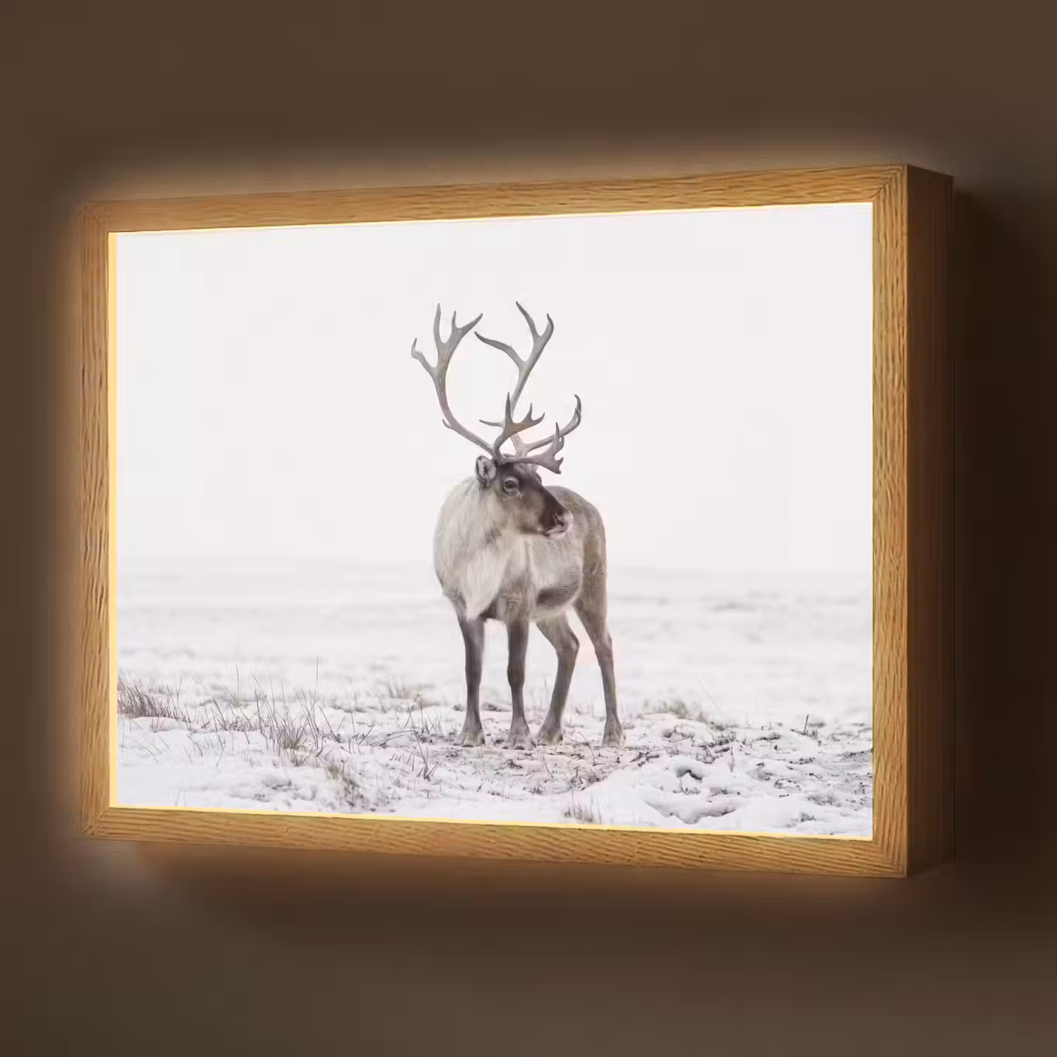 Rendier - Gewei - Sneeuw - Winter Light Box met batterij (Wandlamp) middel -z3d_website
