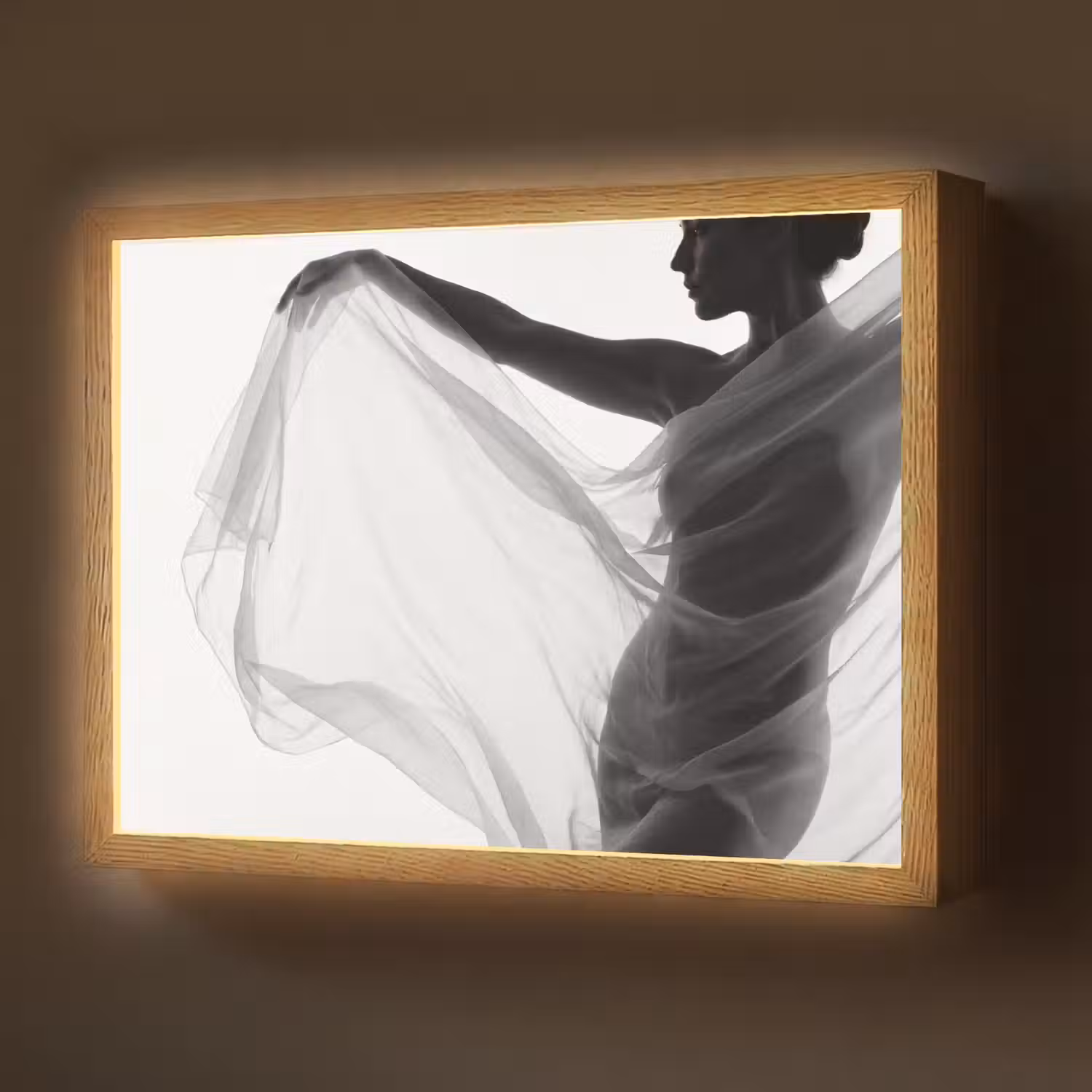 Silhouet - Sluier - Vormen - Zwart - Wit - Sensueel Light Box met batterij (Wandlamp) middel -z3d_website