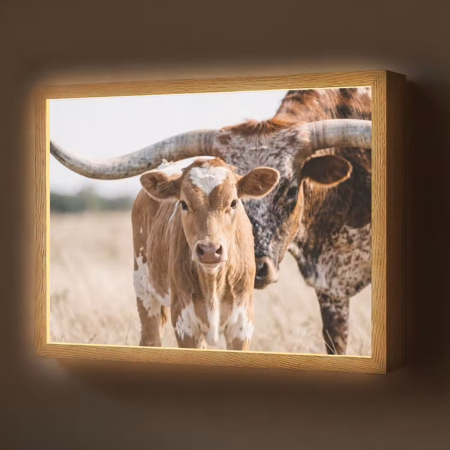 Texas Longhorn - Kalf - Weide - Dieren Light Box met batterij (Wandlamp) middel -z3d_website