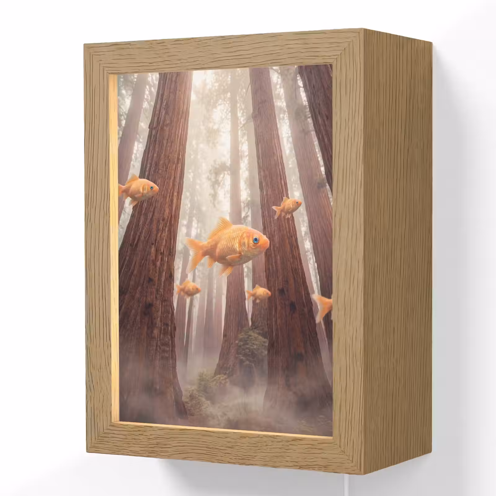 Lightbox - Wandlamp - Vis - Bos - Fantasie - Vis - Bos - Fantasie Light Box met kabel (Wandlamp) klein