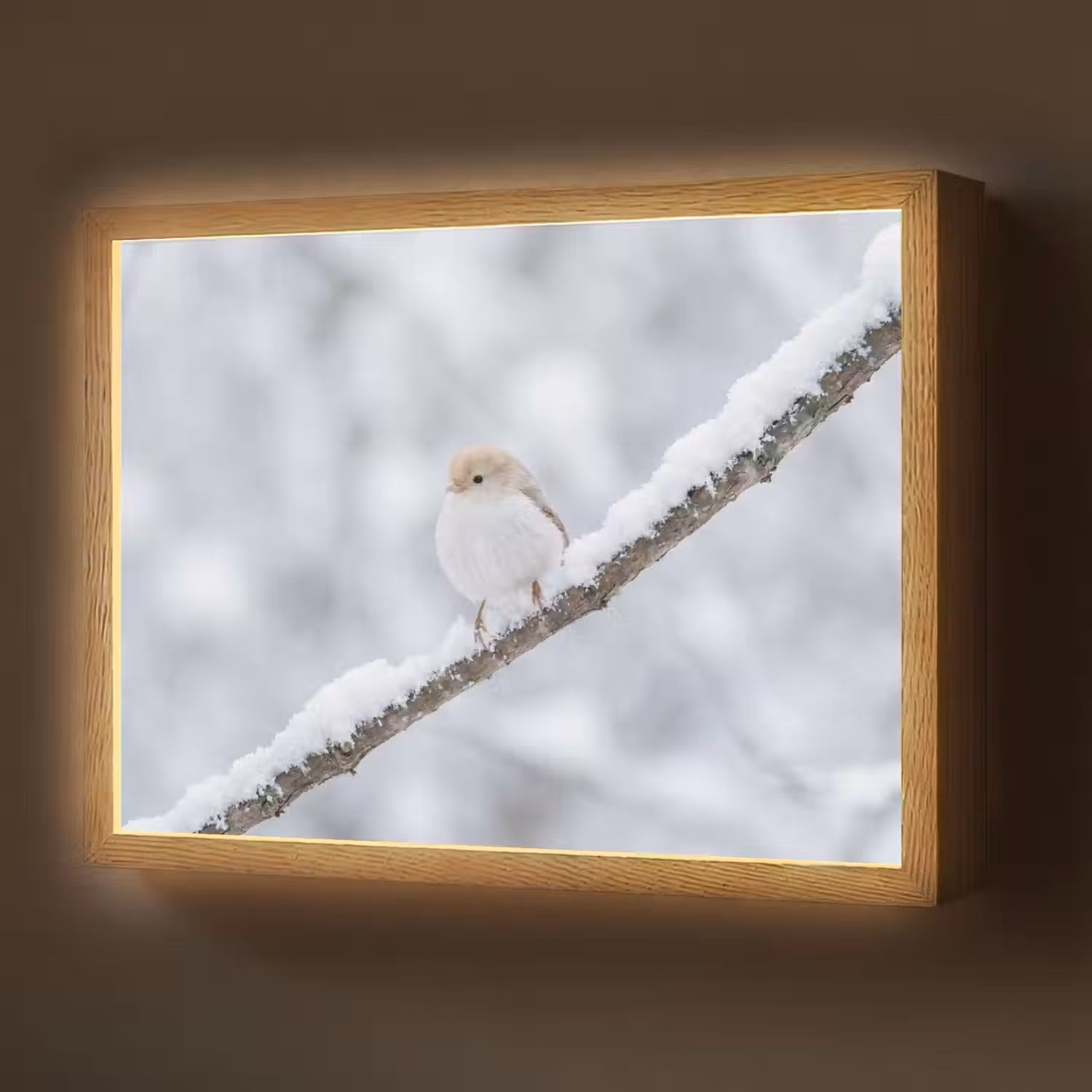 Vogeltje - Sneeuw - Tak - Winter - Zacht Light Box met batterij (Wandlamp) middel -z3d_website