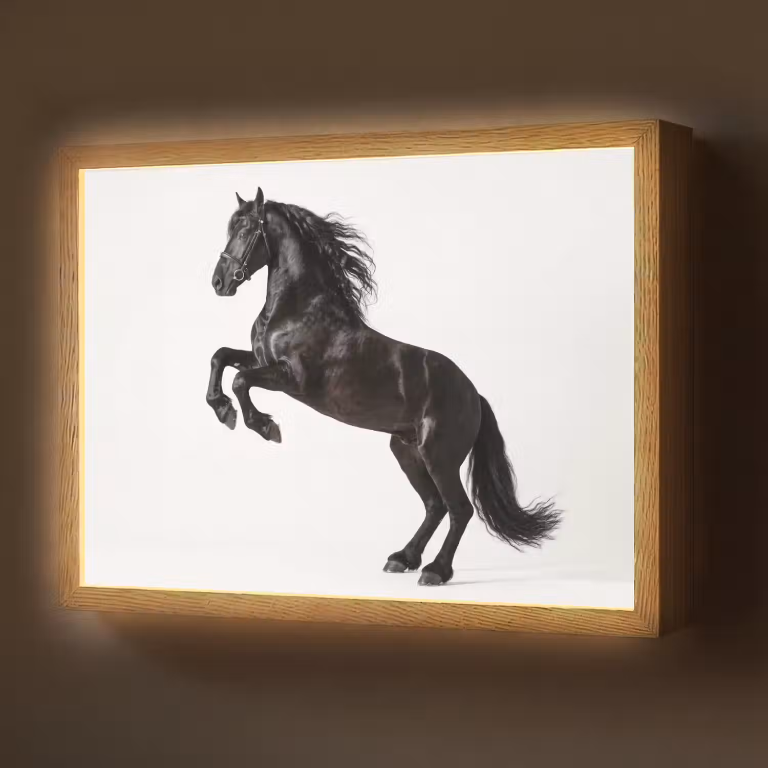 Zwart - Paard - Portret Light Box met batterij (Wandlamp) middel -z3d_website