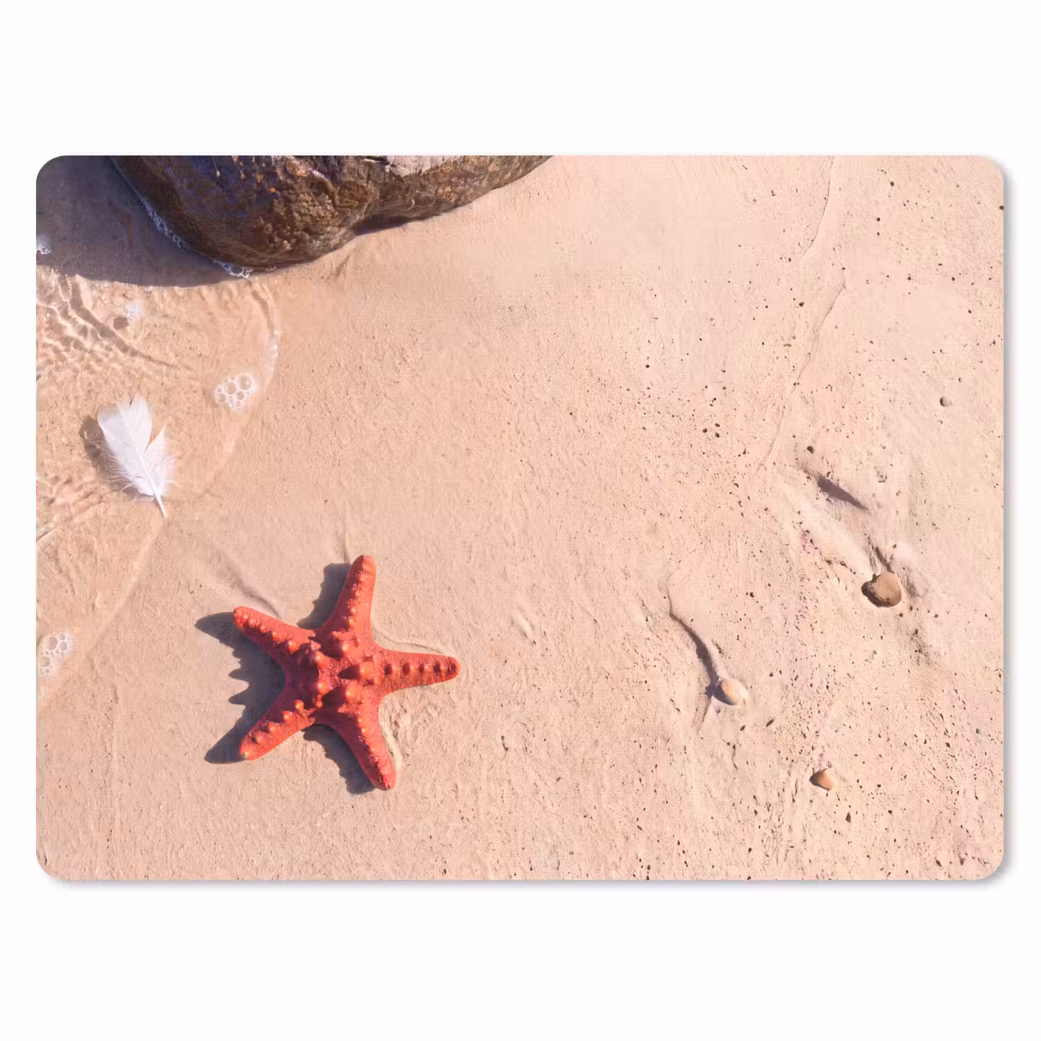 Dieren - Strand - Zee - Natuur - Rood muismat rubber klein -3d