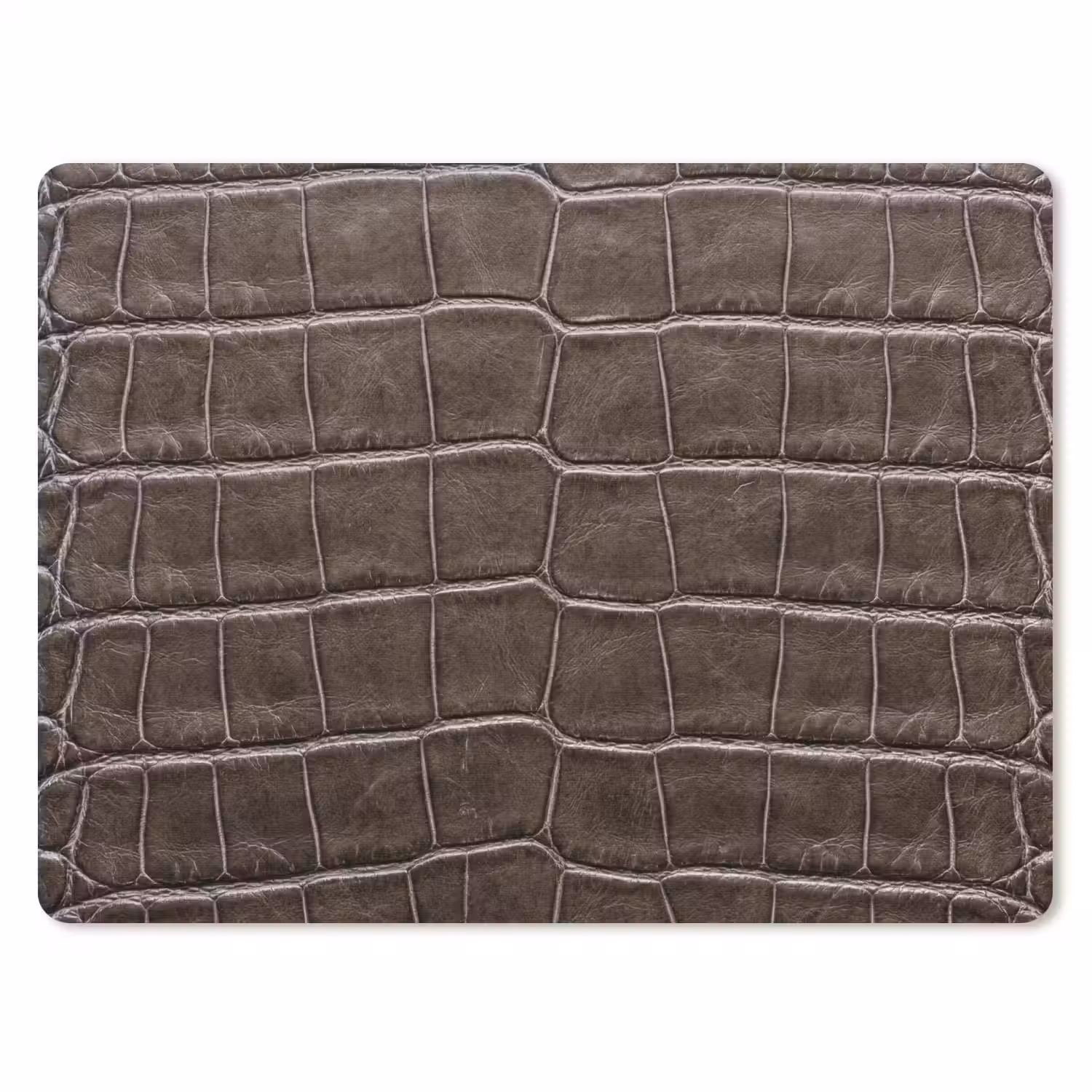 Leer - Krokodil - Mat muismat rubber klein -3d