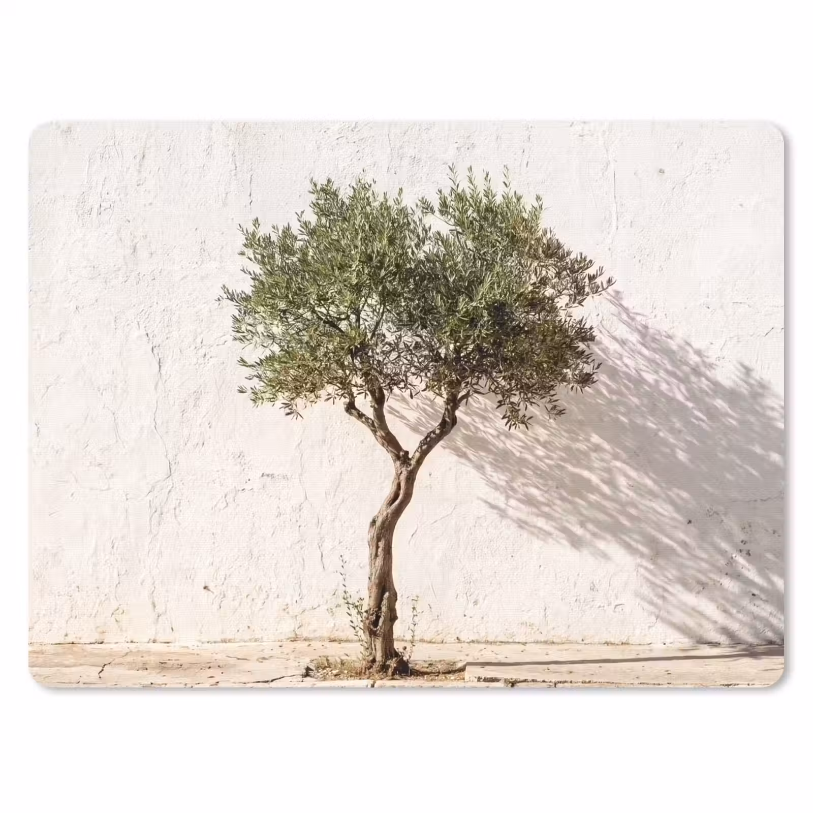 Muismat - Olijfboom - muur - wit - Olijfboom - muur - wit muismat rubber klein