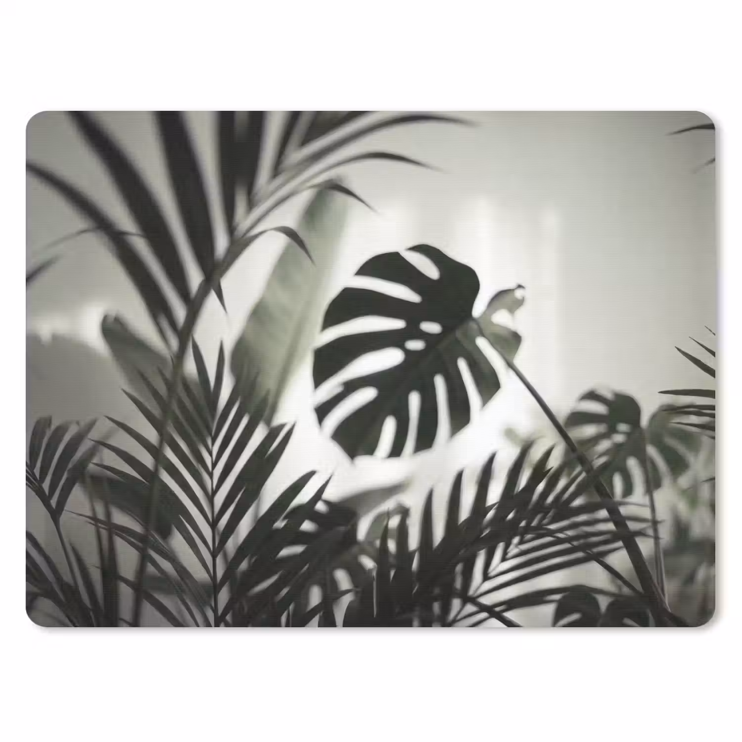 Planten - Bladeren - Natuur - Minimalistisch - Groen muismat rubber klein -3d