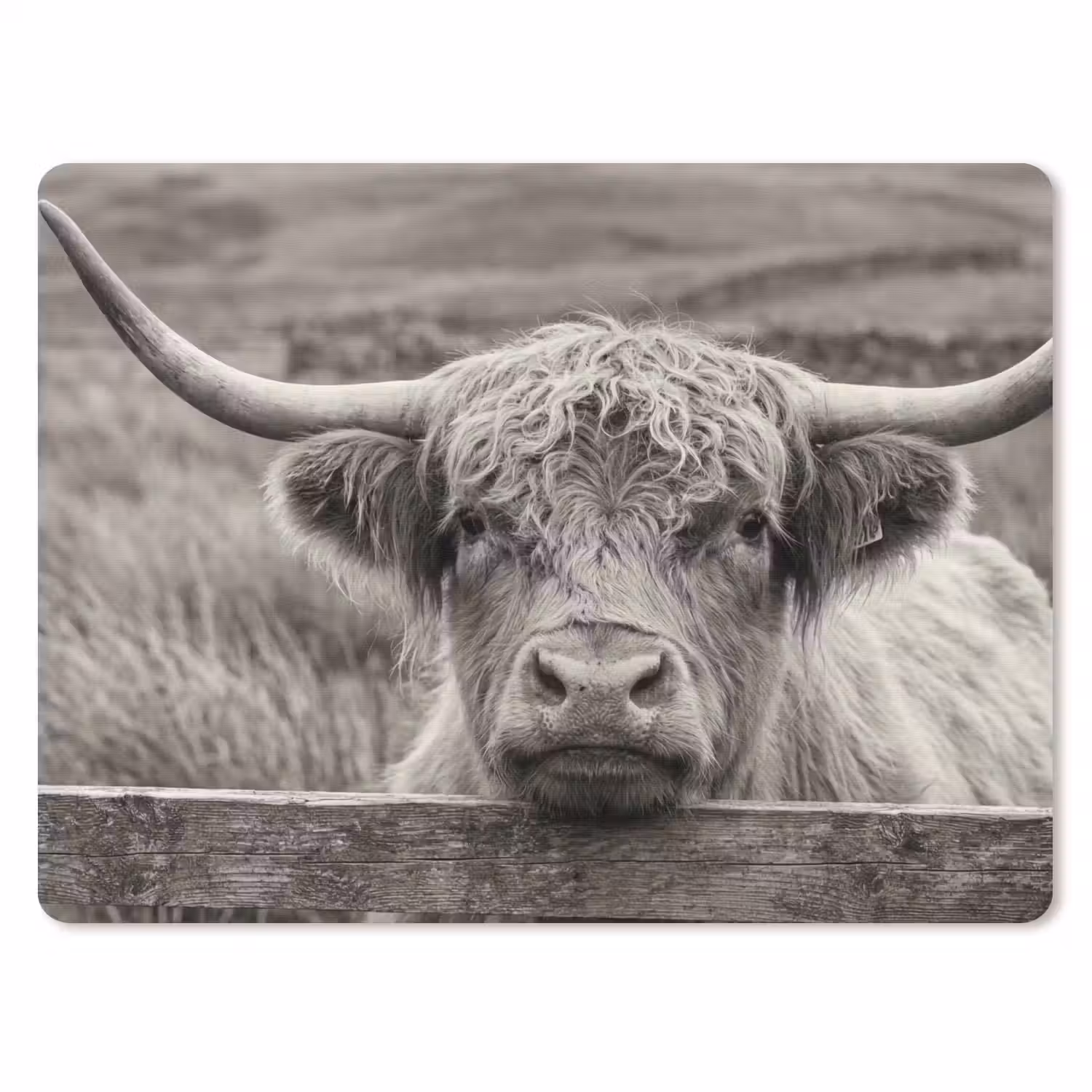 Schotse hooglander - Zwart - Wit - Hout muismat rubber klein -3d