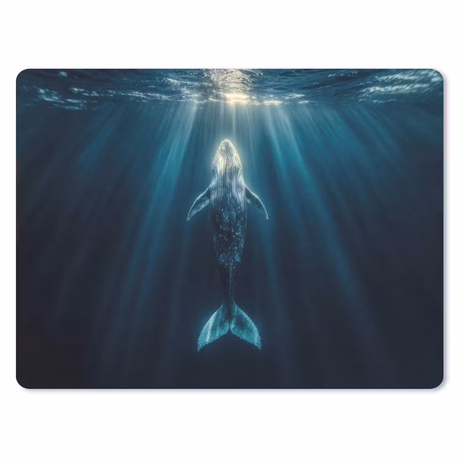 Walvis - Water - Zonnestralen - Blauw muismat rubber klein -3d