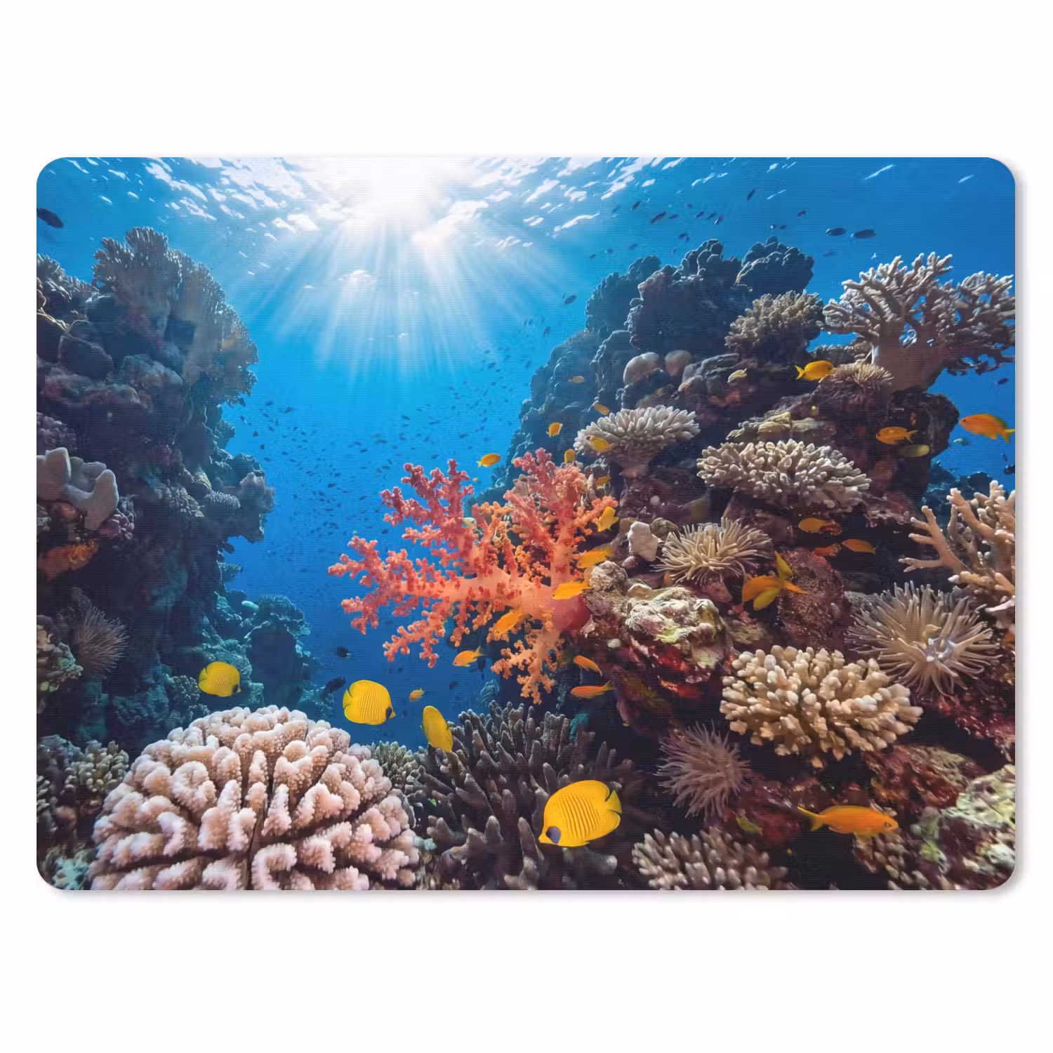 Zee - Koraalrif - Natuur - Levendig - Blauw muismat rubber klein -3d