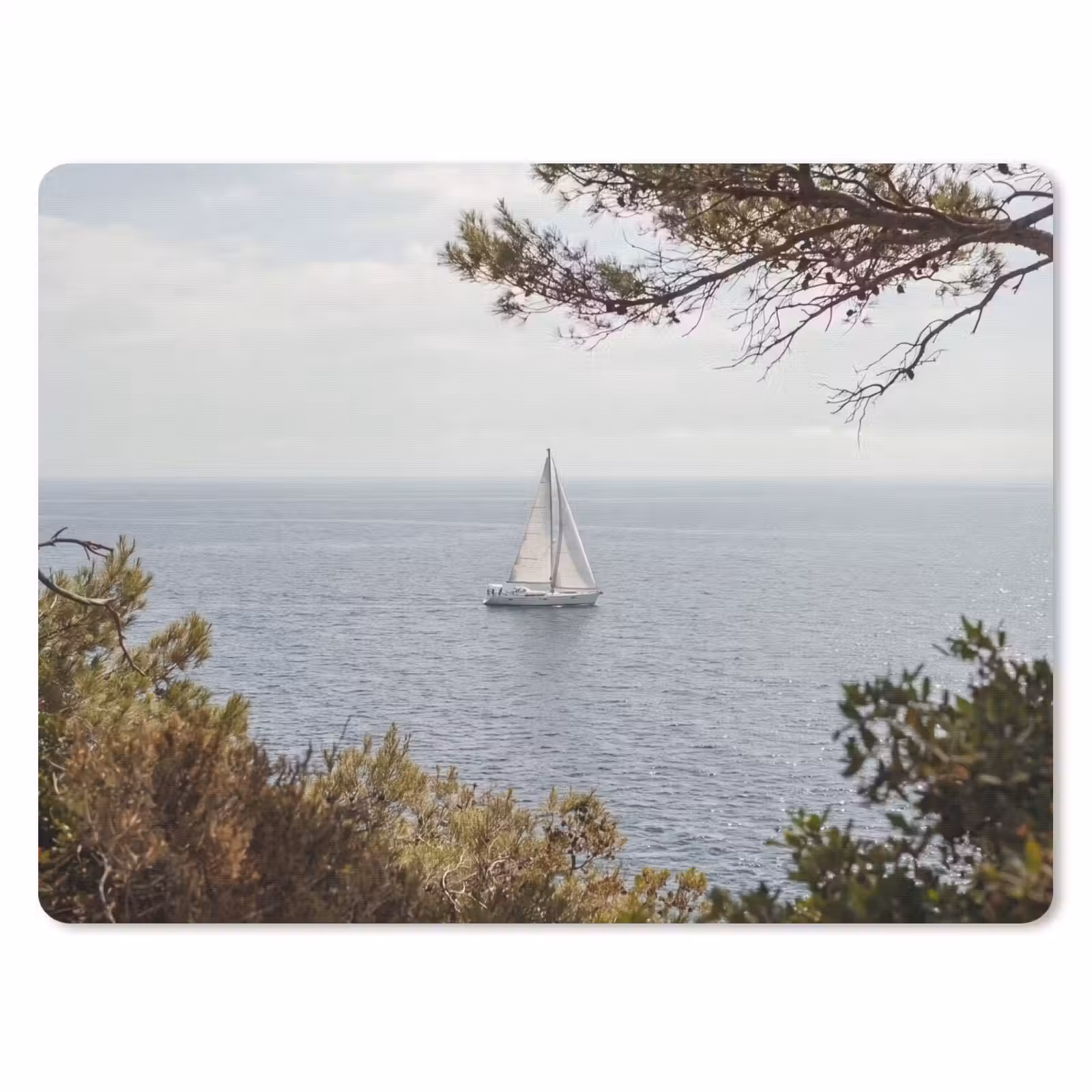 Muismat - Zeilboot - bomen - water - Zeilboot - bomen - water muismat rubber klein