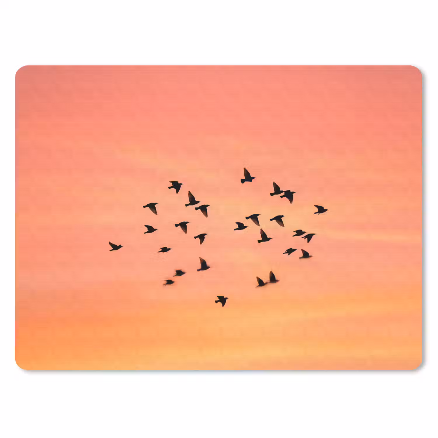Zwerm - Vogels - Oranje muismat rubber klein -3d