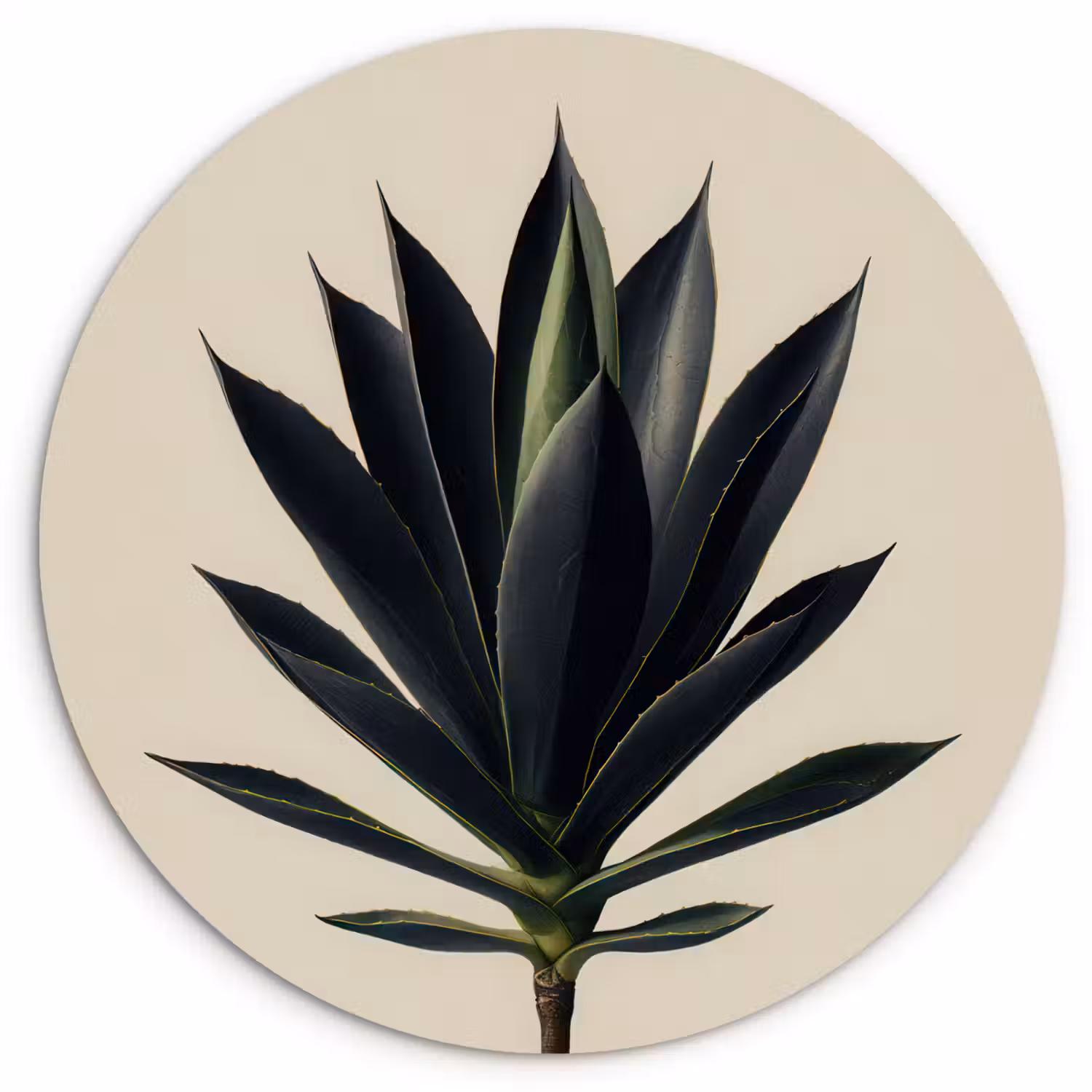 Agaveplant - Symmetrisch - Groen Wandcirkel kunststof plaat 5mm dik klein -3d