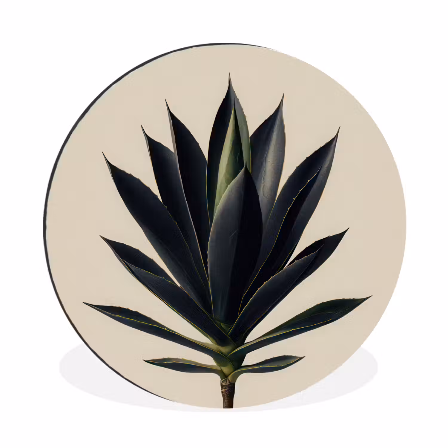 Agaveplant - Symmetrisch - Groen Wandcirkel aluminium klein -3d