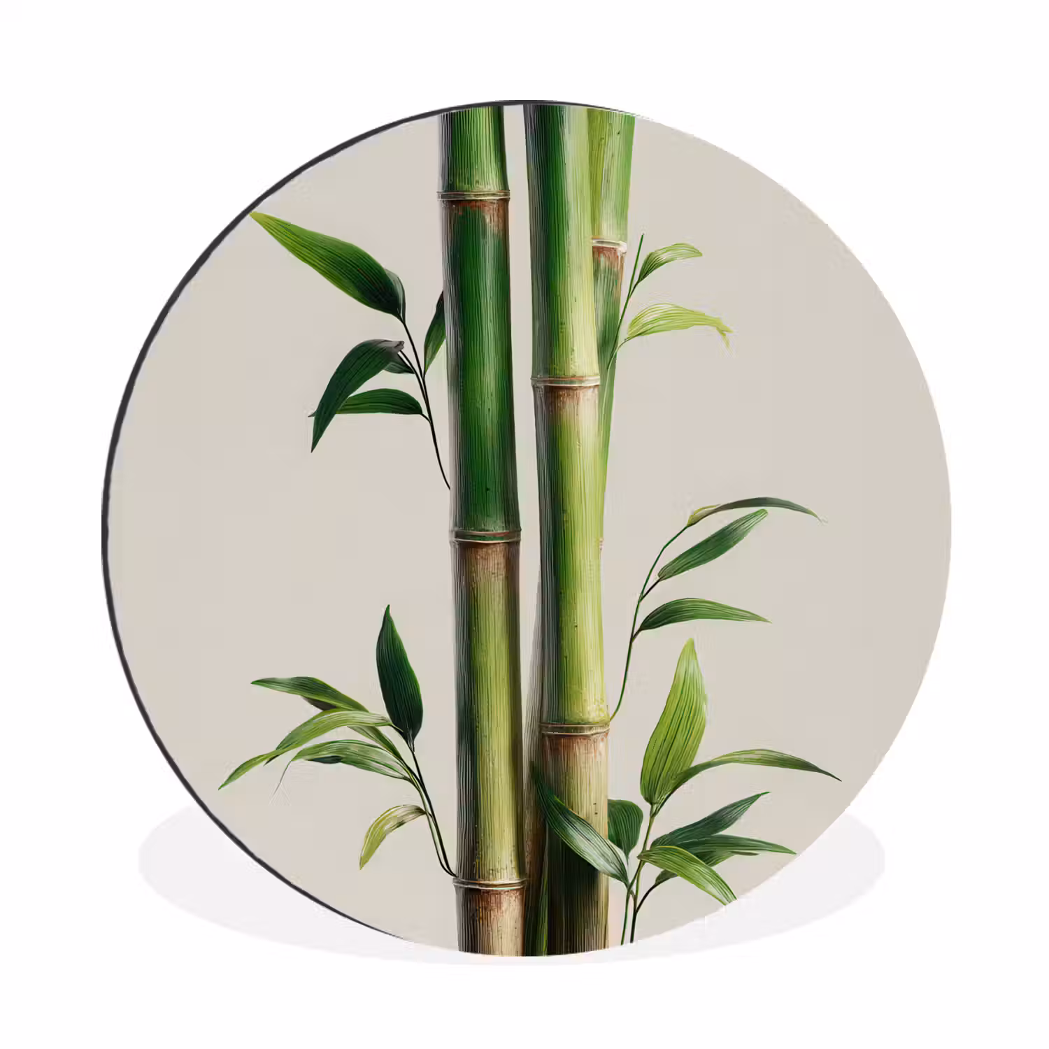 Bamboestengels - Sierlijk - Groen Wandcirkel aluminium klein -3d