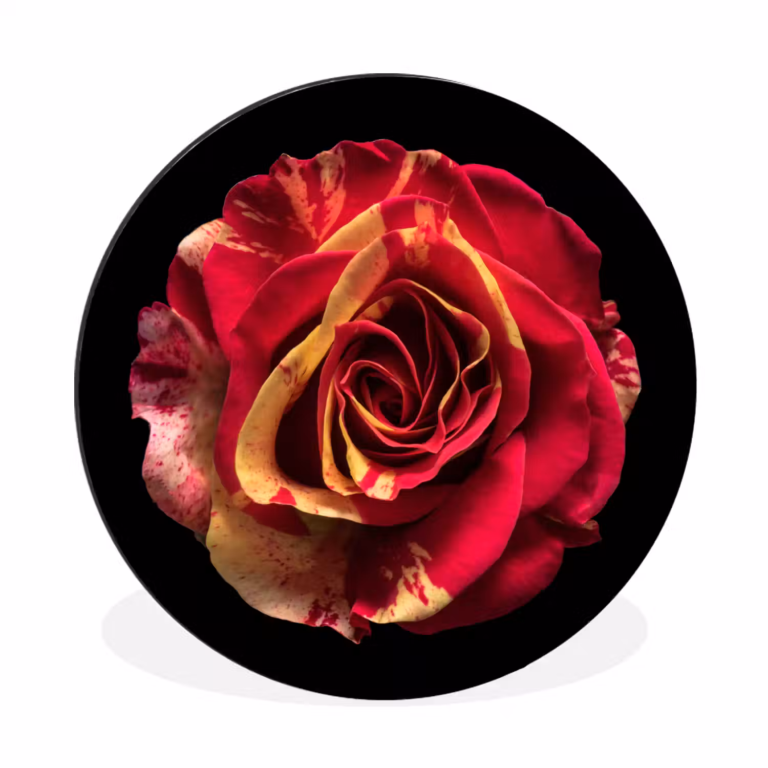 Bloem - Roos - Rood - Zwart Wandcirkel aluminium klein -3d