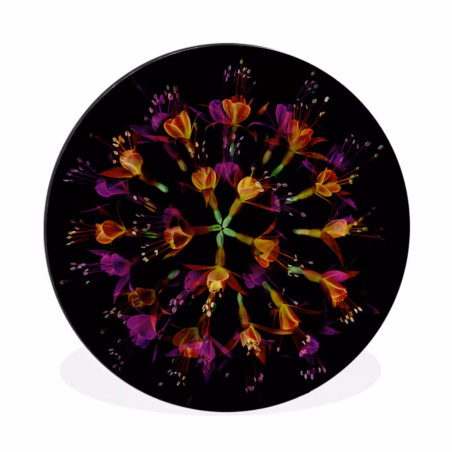 Bloemen - Oranje - Roze - Zwart Wandcirkel aluminium klein -3d