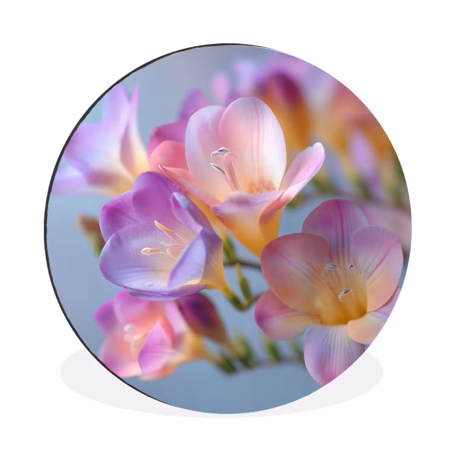 Bloemen - Paars - Overloop - Meeldraden Wandcirkel aluminium klein -3d