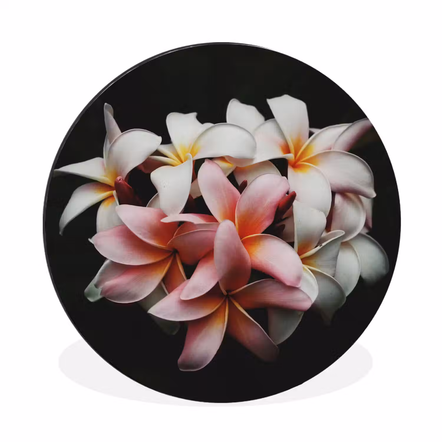 Bloemen - Roze - Zwart - Flora - Botanisch Wandcirkel aluminium klein -3d