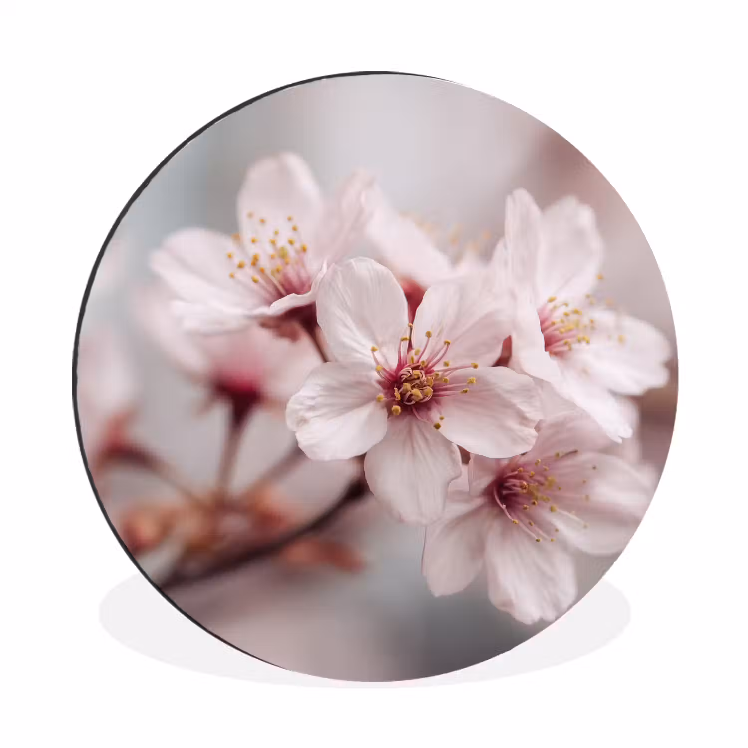Bloesems - Meeldraden - Geel - Wazig Wandcirkel aluminium klein -3d