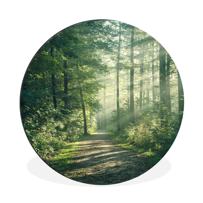 Bos - Pad - Zon - Bomen - Groen - Natuur Wandcirkel aluminium klein -3d