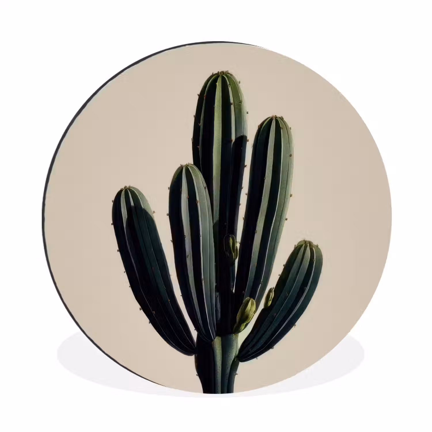 Cactus - Subtiel - Groen Wandcirkel aluminium klein -3d