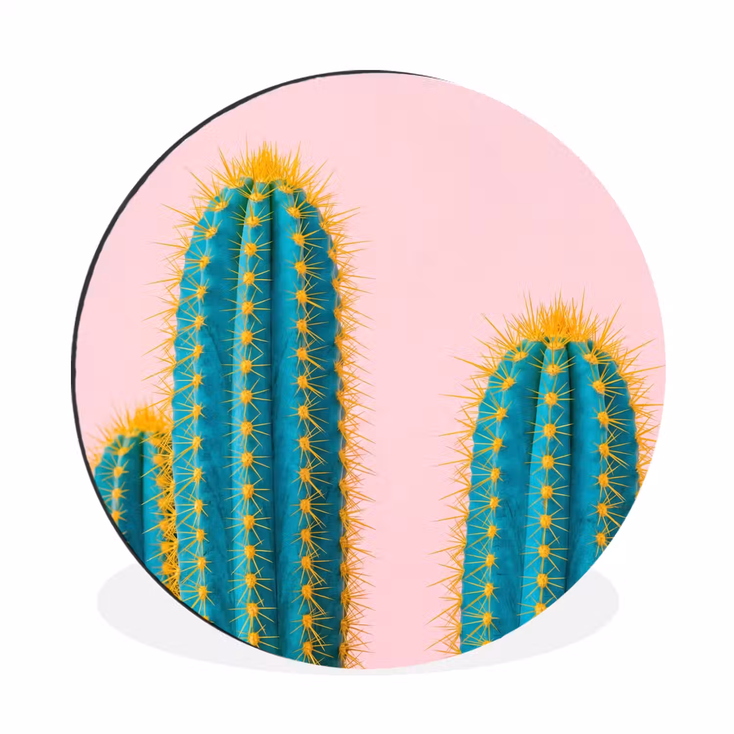 Cactussen - Modern - Pastel Wandcirkel aluminium klein -3d