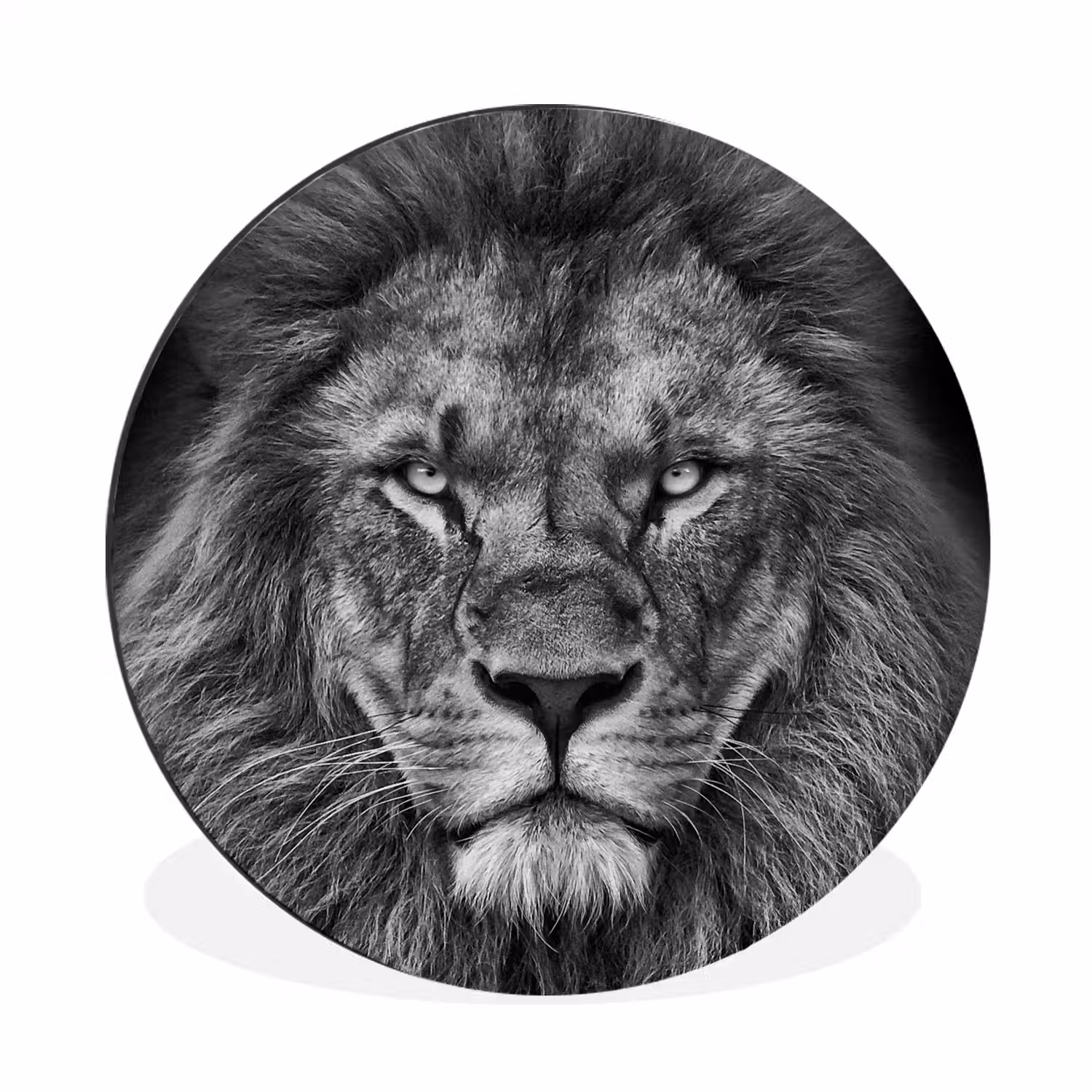 Dieren - Leeuw - Zwart - Wit - Portret Wandcirkel aluminium klein -3d