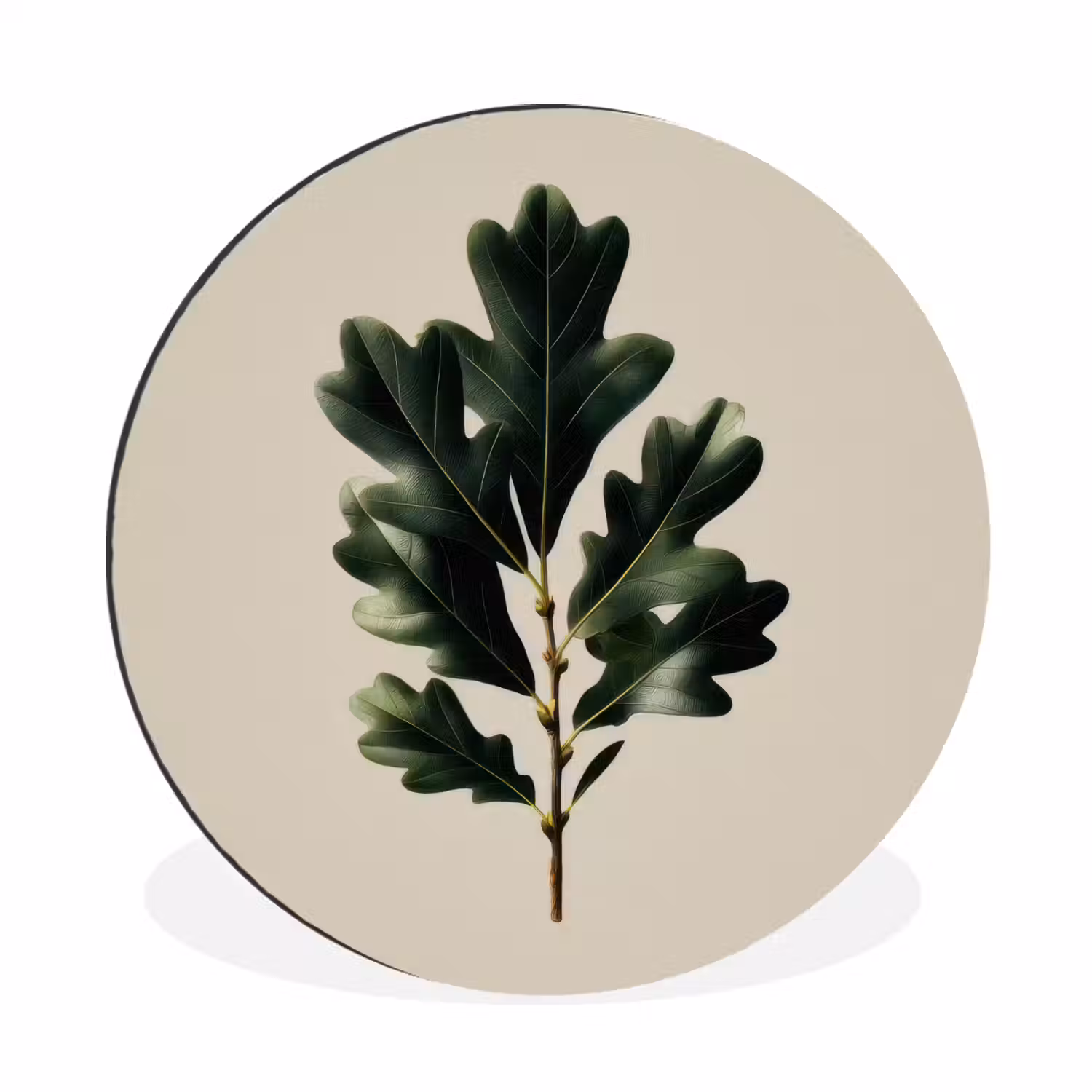 Eikenbladeren - Beige - Groen - Golvende randen Wandcirkel aluminium klein -3d