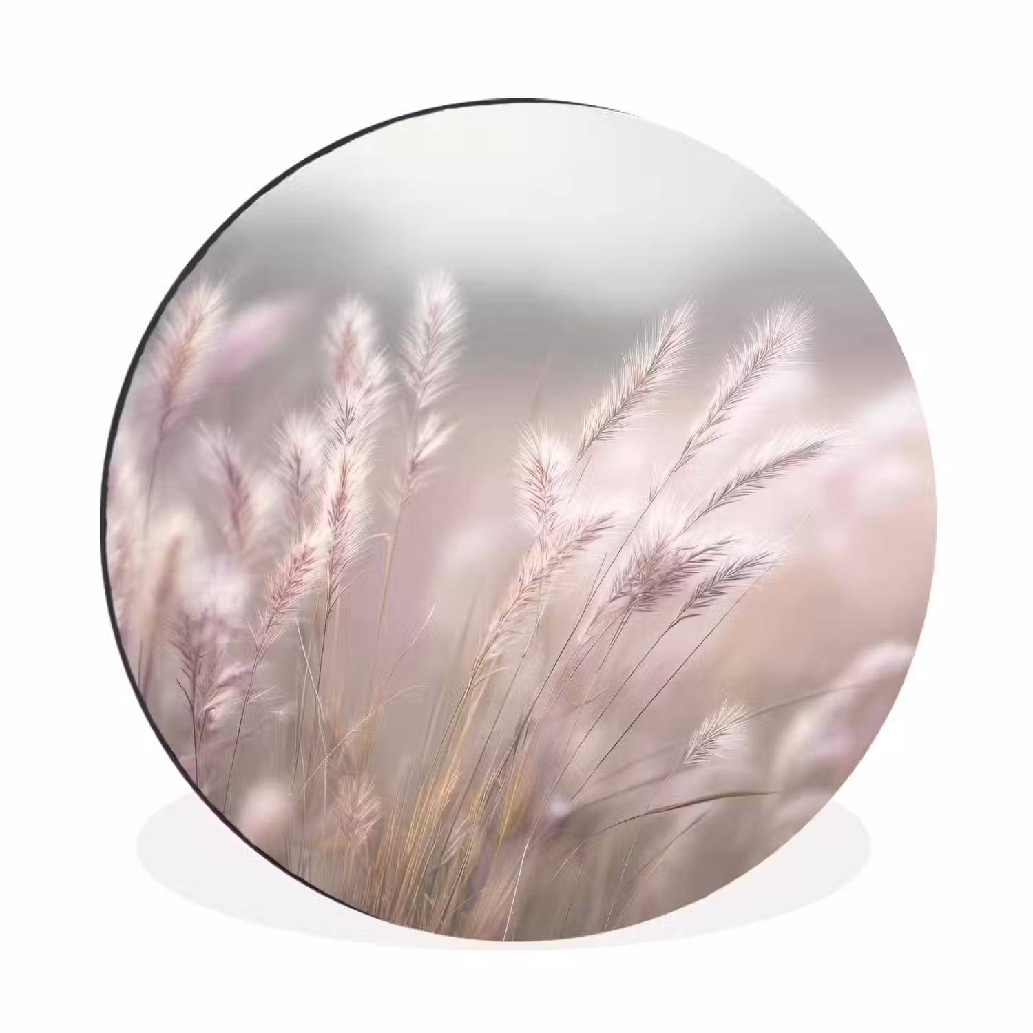 Graspluimen - Wind - Beige - Mistig Wandcirkel aluminium klein -3d