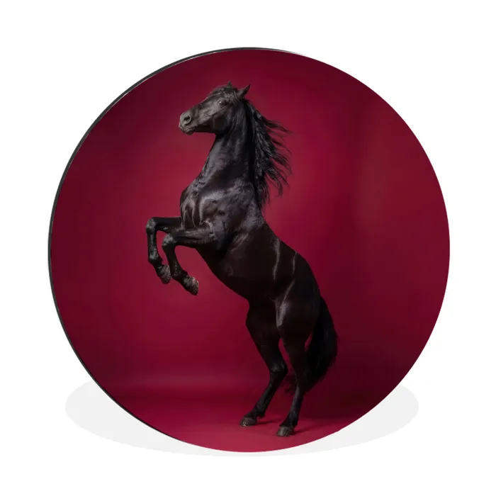 Hengst - Steigert - Rood Wandcirkel aluminium klein -3d
