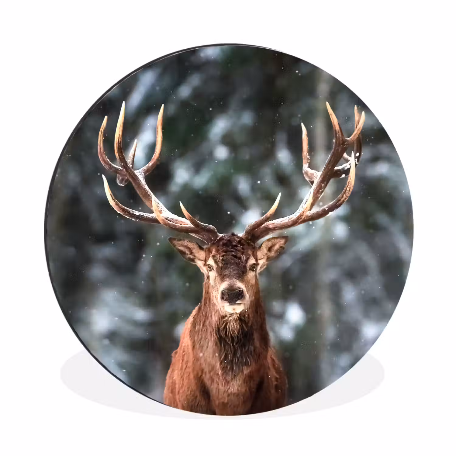 Hert - Winter - Sneeuw - Bos - Natuur - Dier Wandcirkel aluminium klein -3d