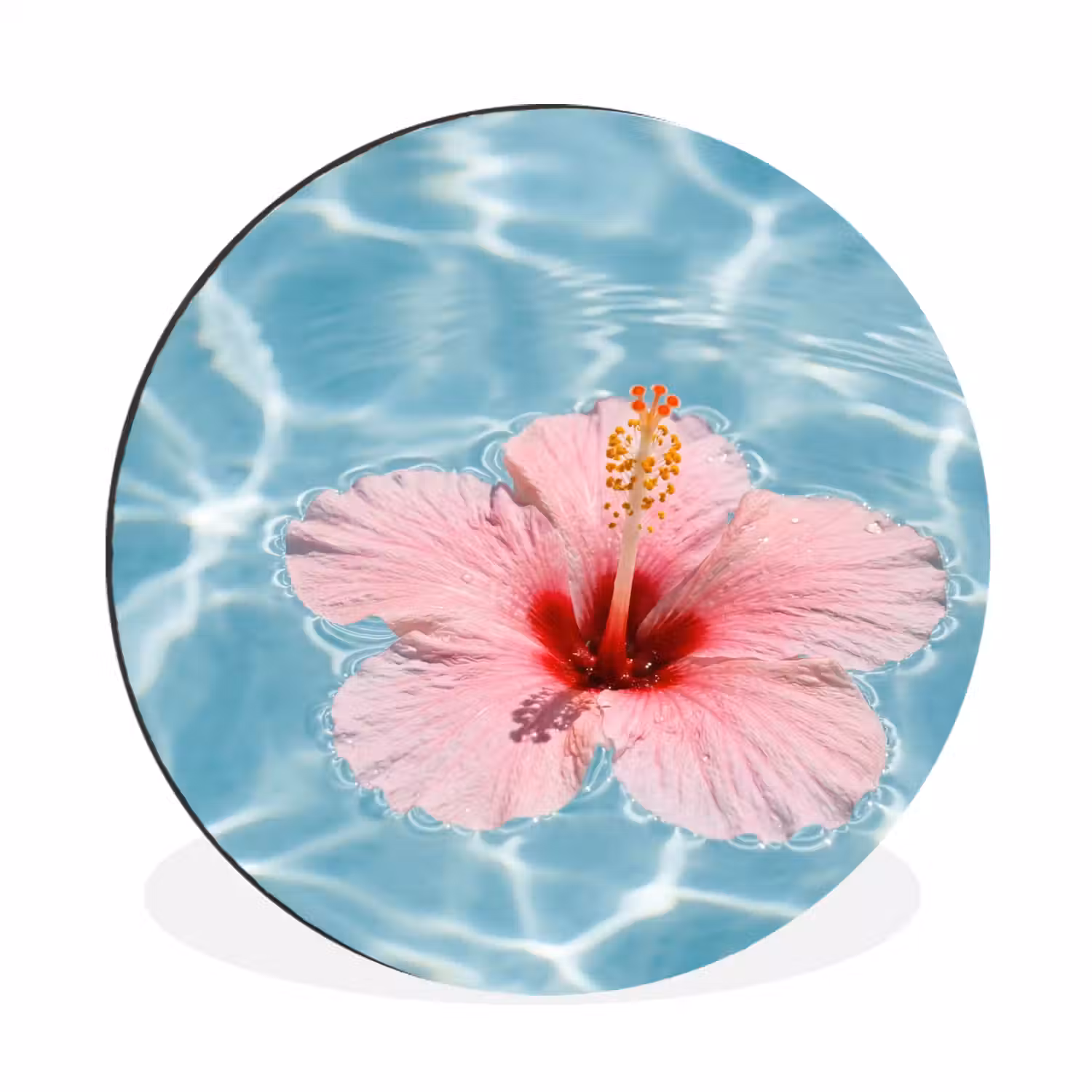 Hibiscus - Water - Roze Wandcirkel aluminium klein -3d