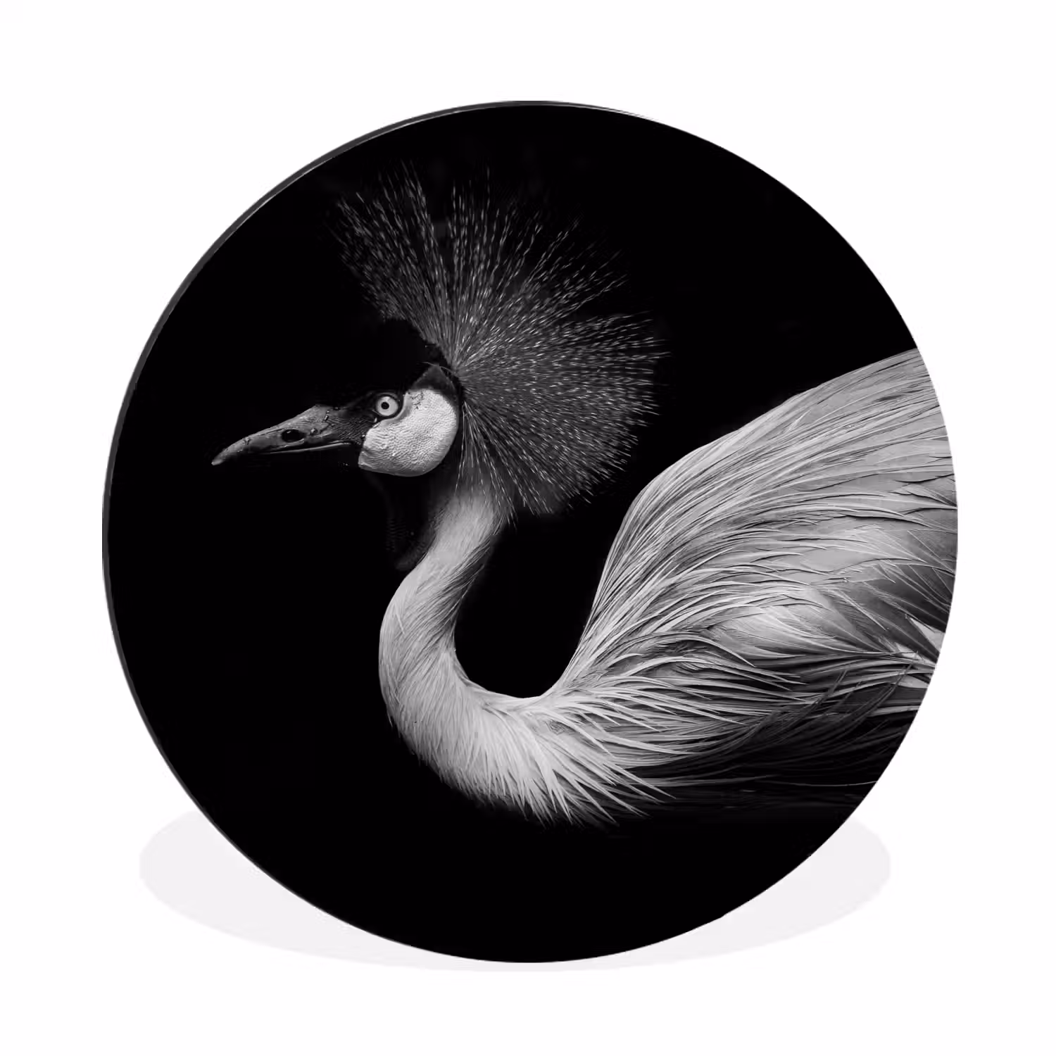 Kraanvogel - Zwart - Wit - Vogel - Dieren Wandcirkel aluminium klein -3d