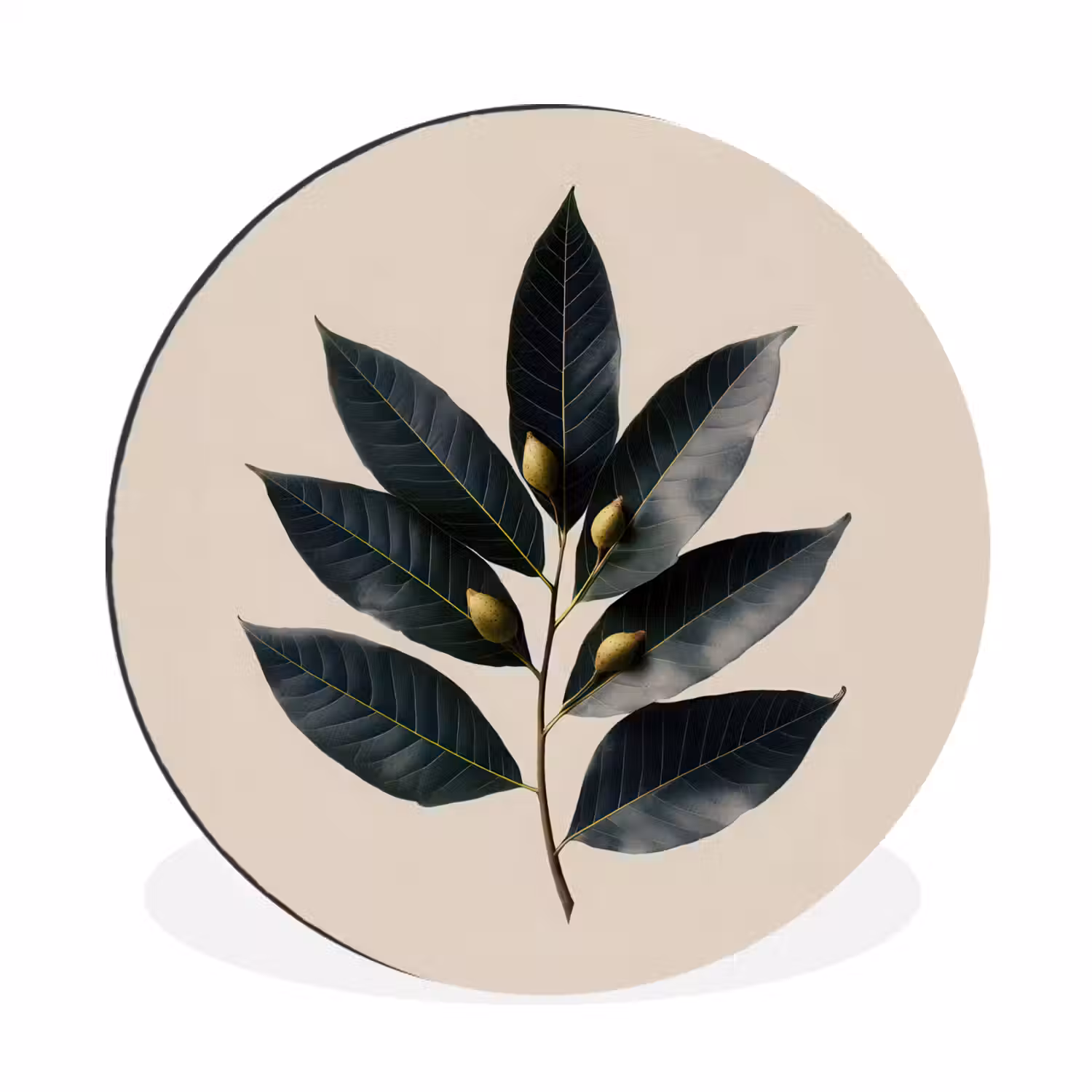 Laurierbladeren - Bloemknoppen - subtiel Wandcirkel aluminium klein -3d
