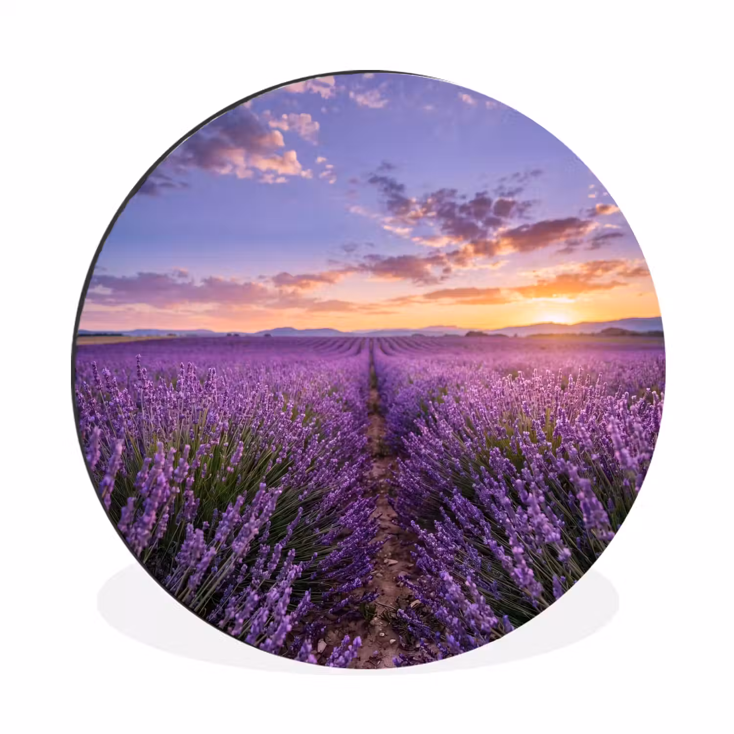 Lavendel - Veld - Natuur - Paars Wandcirkel aluminium klein -3d