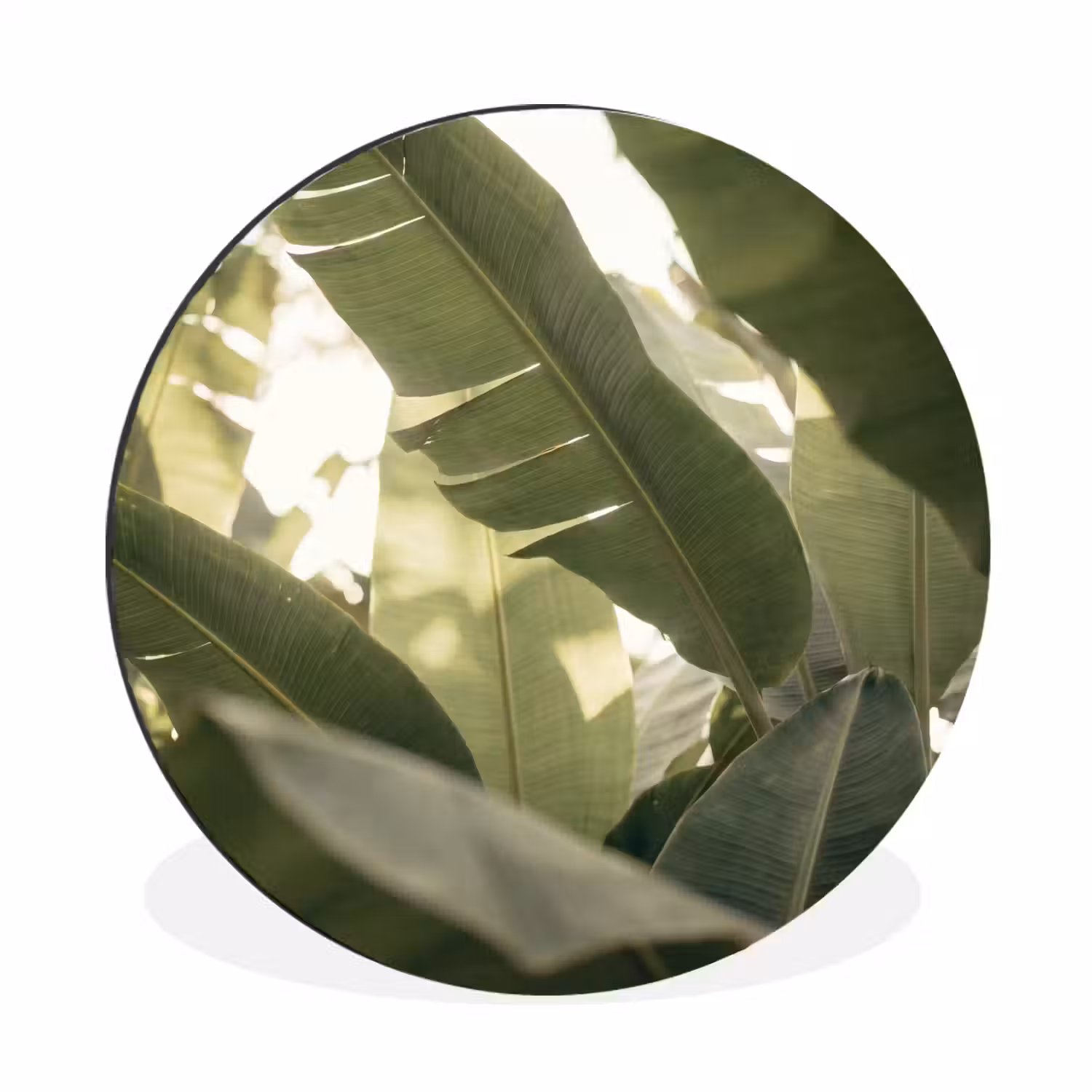 Natuur - Bladeren - Groen - Tropisch - Detail Wandcirkel aluminium klein -3d