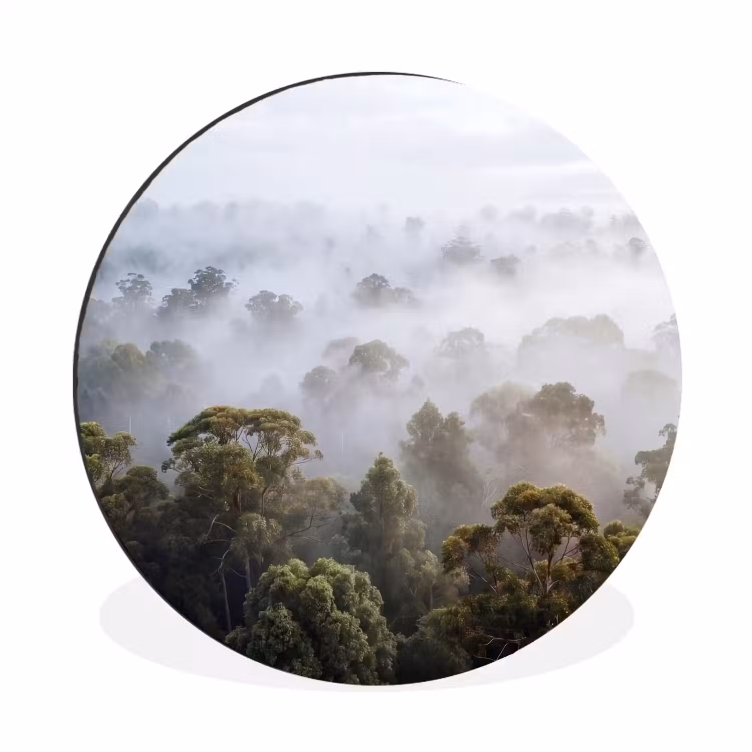Natuur - Mist - Bos - Ochtend - Goud Wandcirkel aluminium klein -3d