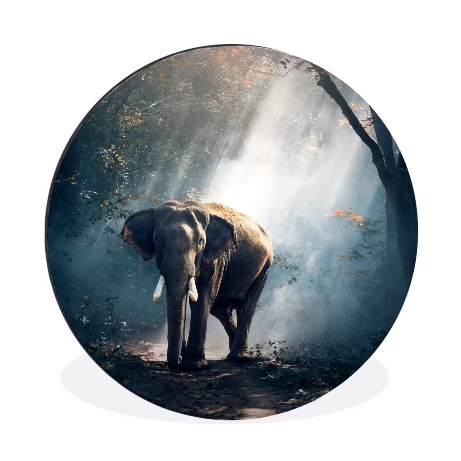 Olifant - Dieren - Licht - Bos - Natuur - Wilde dieren Wandcirkel aluminium klein -3d