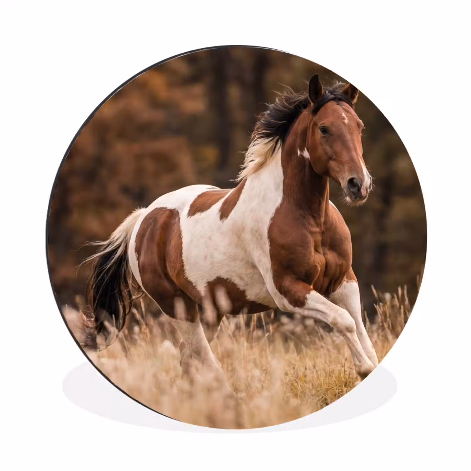 Paard - Bruin - Gras Wandcirkel aluminium klein -3d