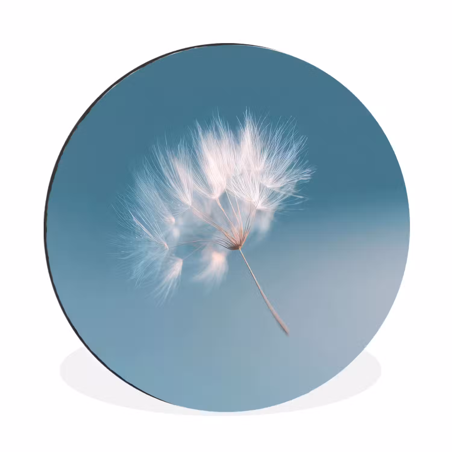 Paardenbloempluisje - Blauw - Lucht Wandcirkel aluminium klein -3d