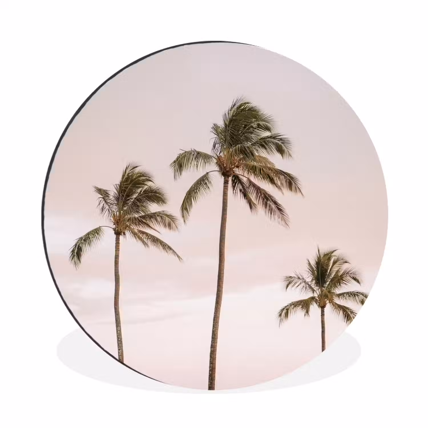 Palmbomen - Zonsondergang - Roze Wandcirkel aluminium klein -3d