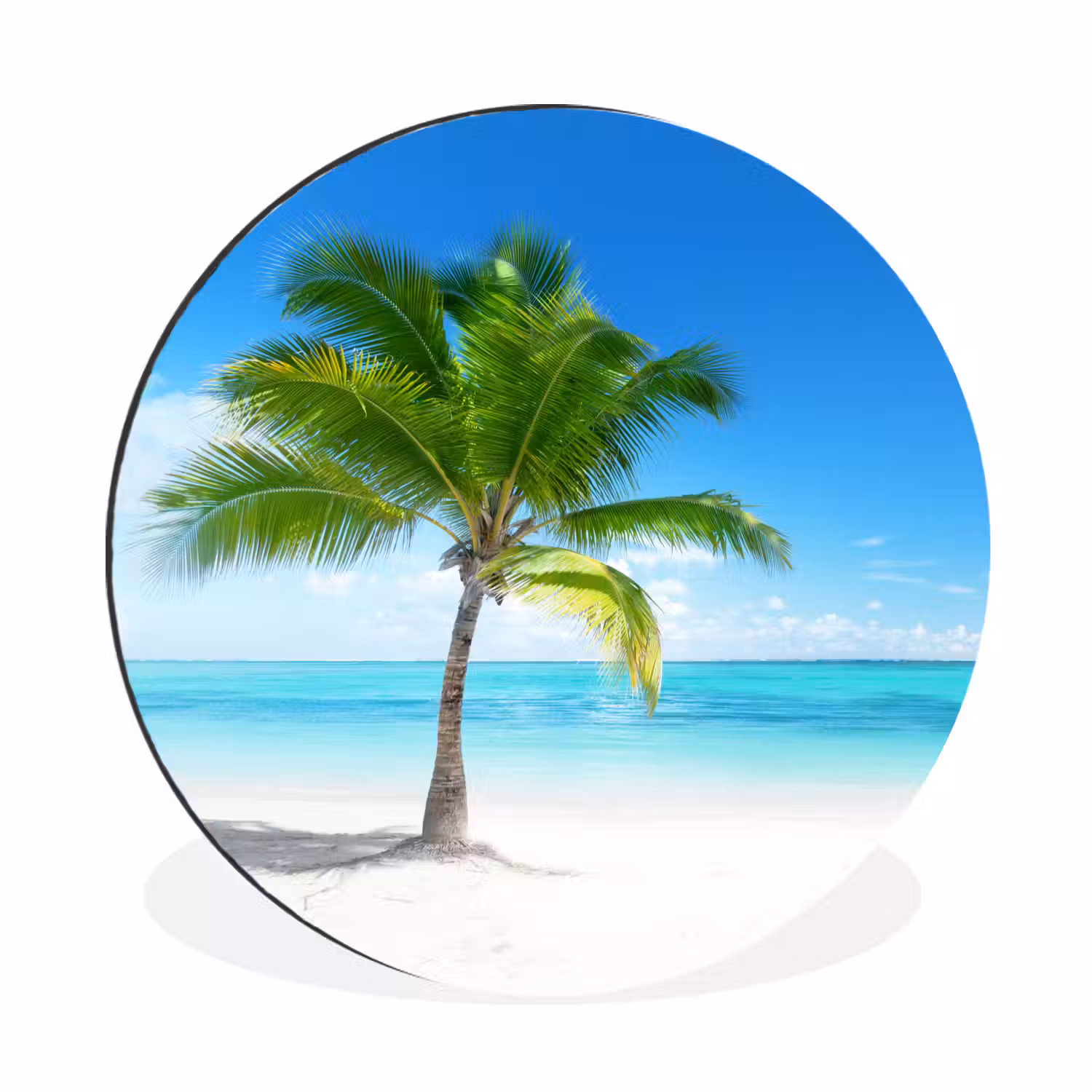 Palmboom - Strand - Zee - Zomer Wandcirkel aluminium klein -3d