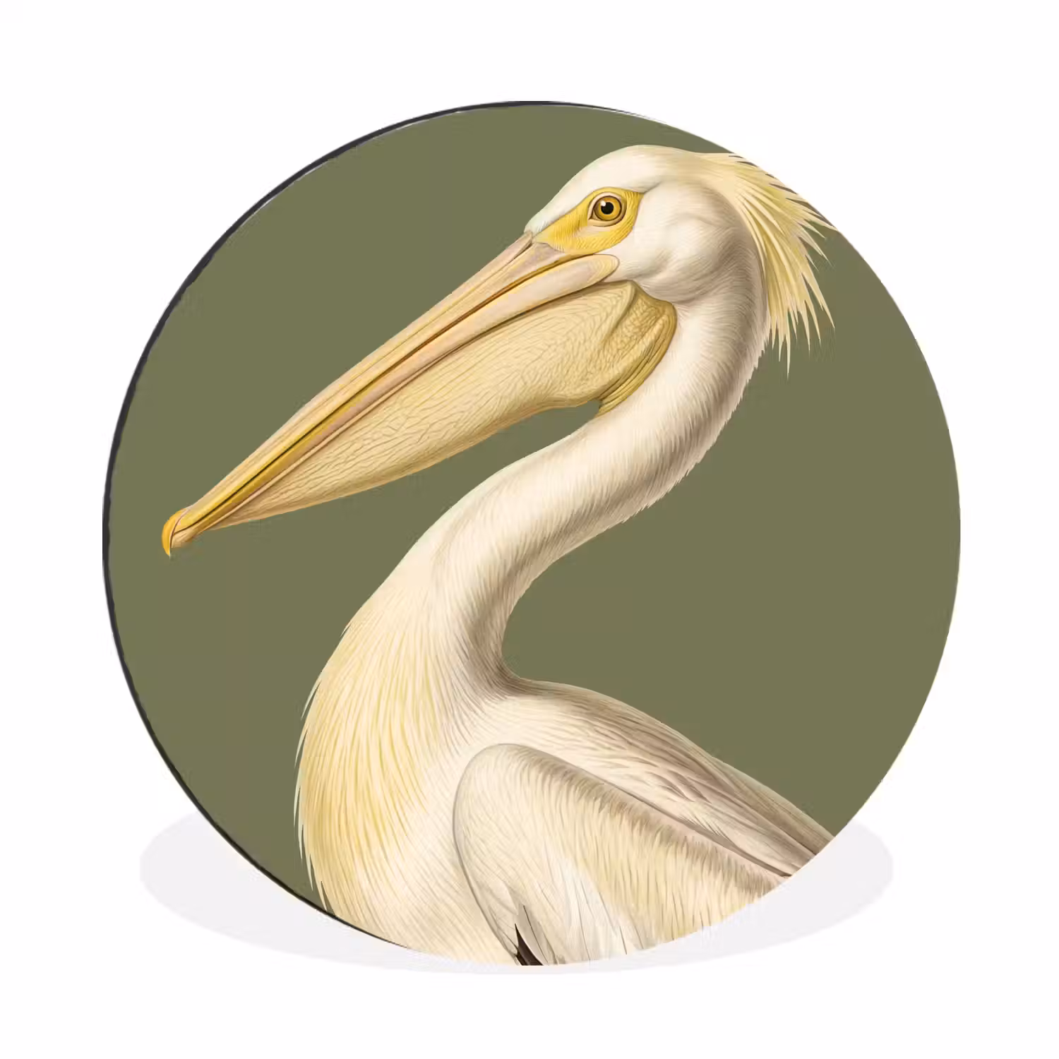Pelikaan - Wit - Vogel - Klassiek - Natuur Wandcirkel aluminium klein -3d