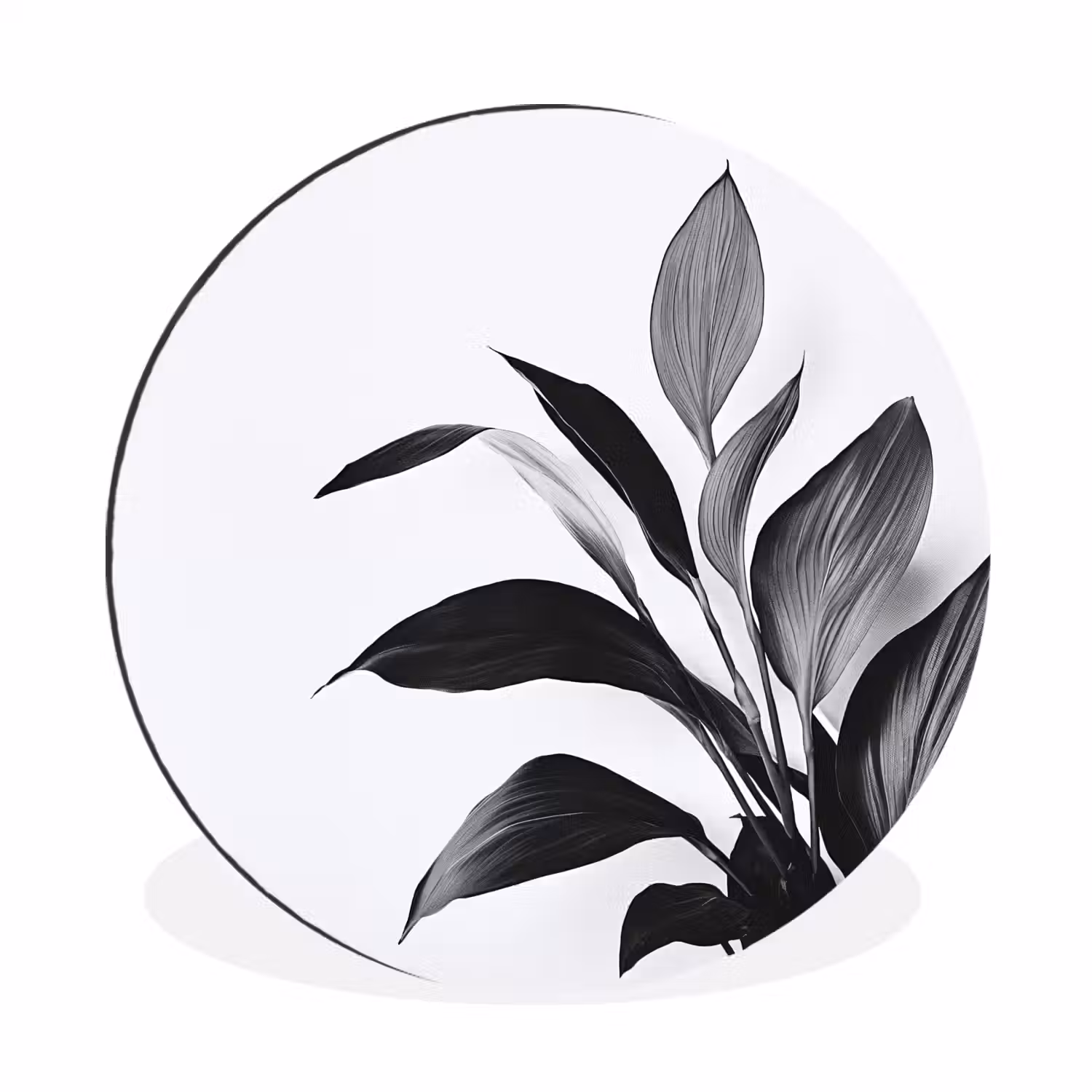 Plant - Bladeren - Minimalistisch - Zwart Wandcirkel aluminium klein -3d