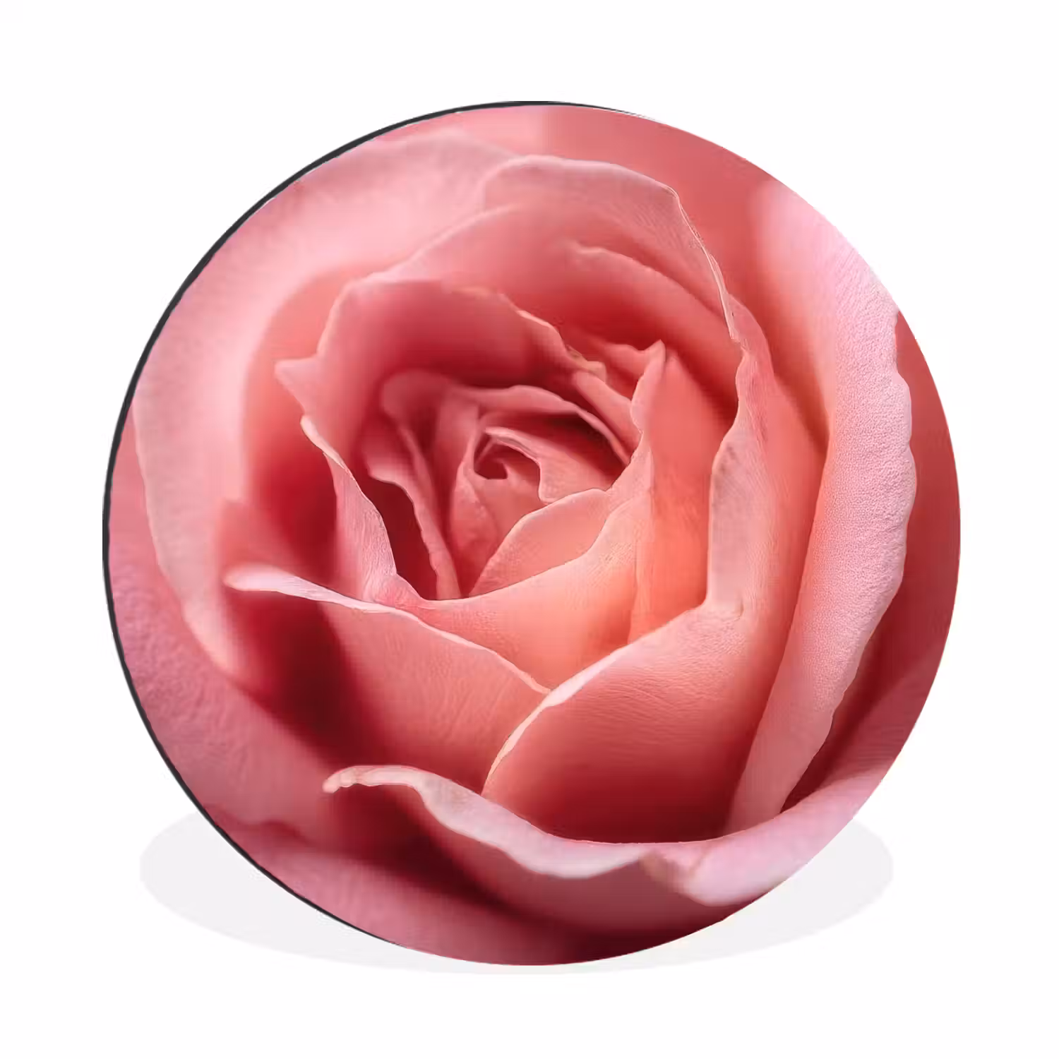 Roze - Roos - Romantisch Wandcirkel aluminium klein -3d
