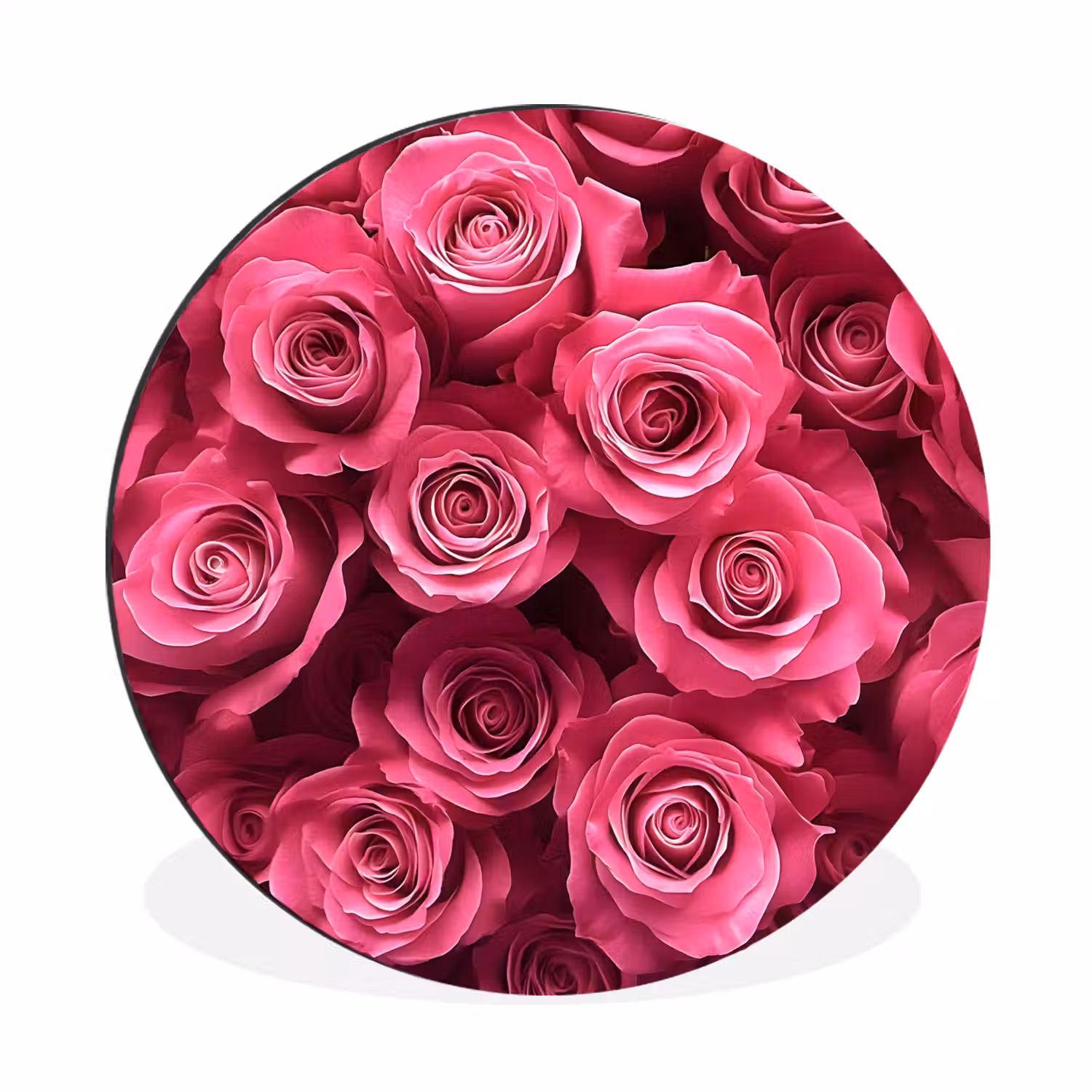 Rozen - Pink - Bloem Wandcirkel aluminium klein -3d
