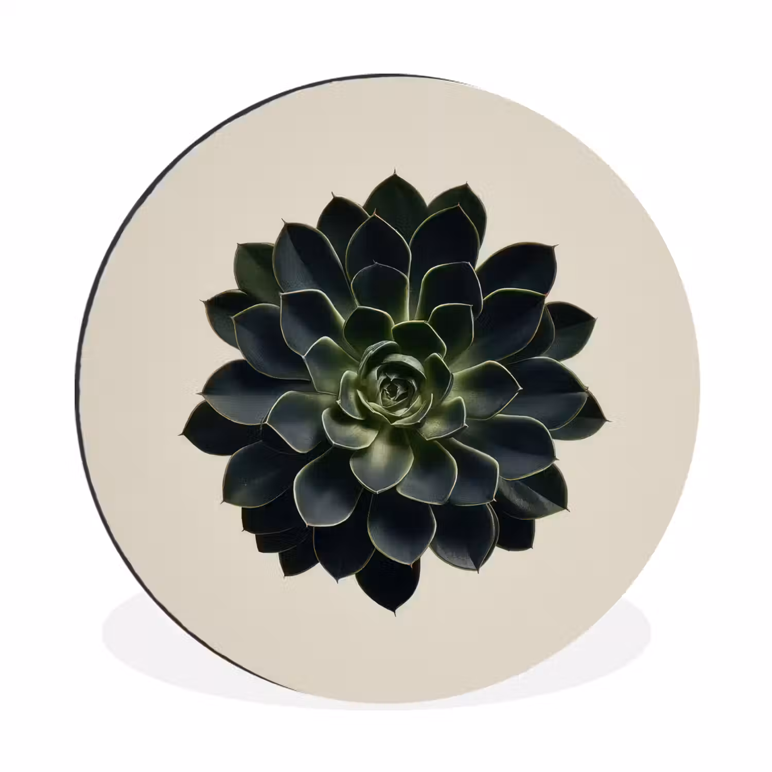 Rozet - Cirkelvormig - Donkergroen Wandcirkel aluminium klein -3d