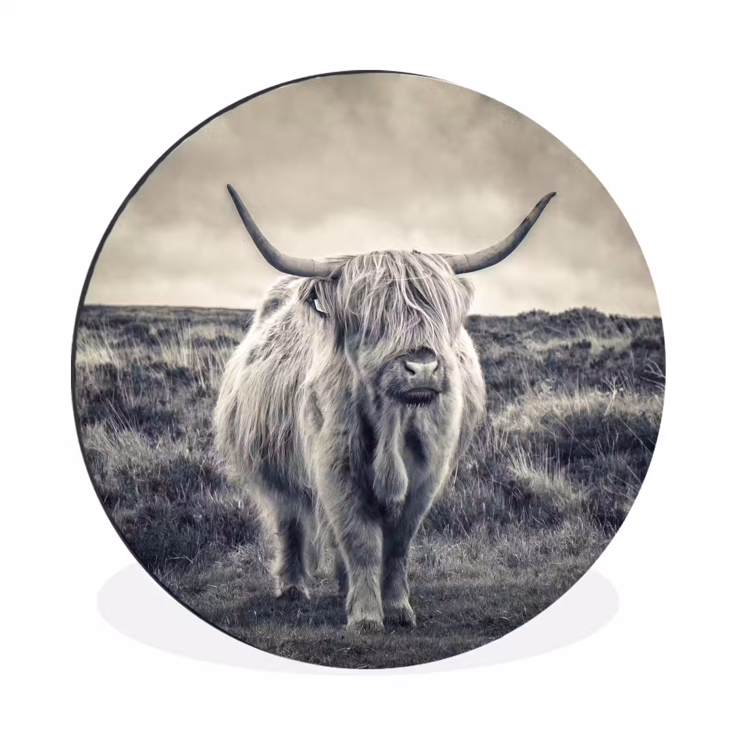 Schotse hooglander - Dieren - Wolken - Koe - Natuur Wandcirkel aluminium klein -3d
