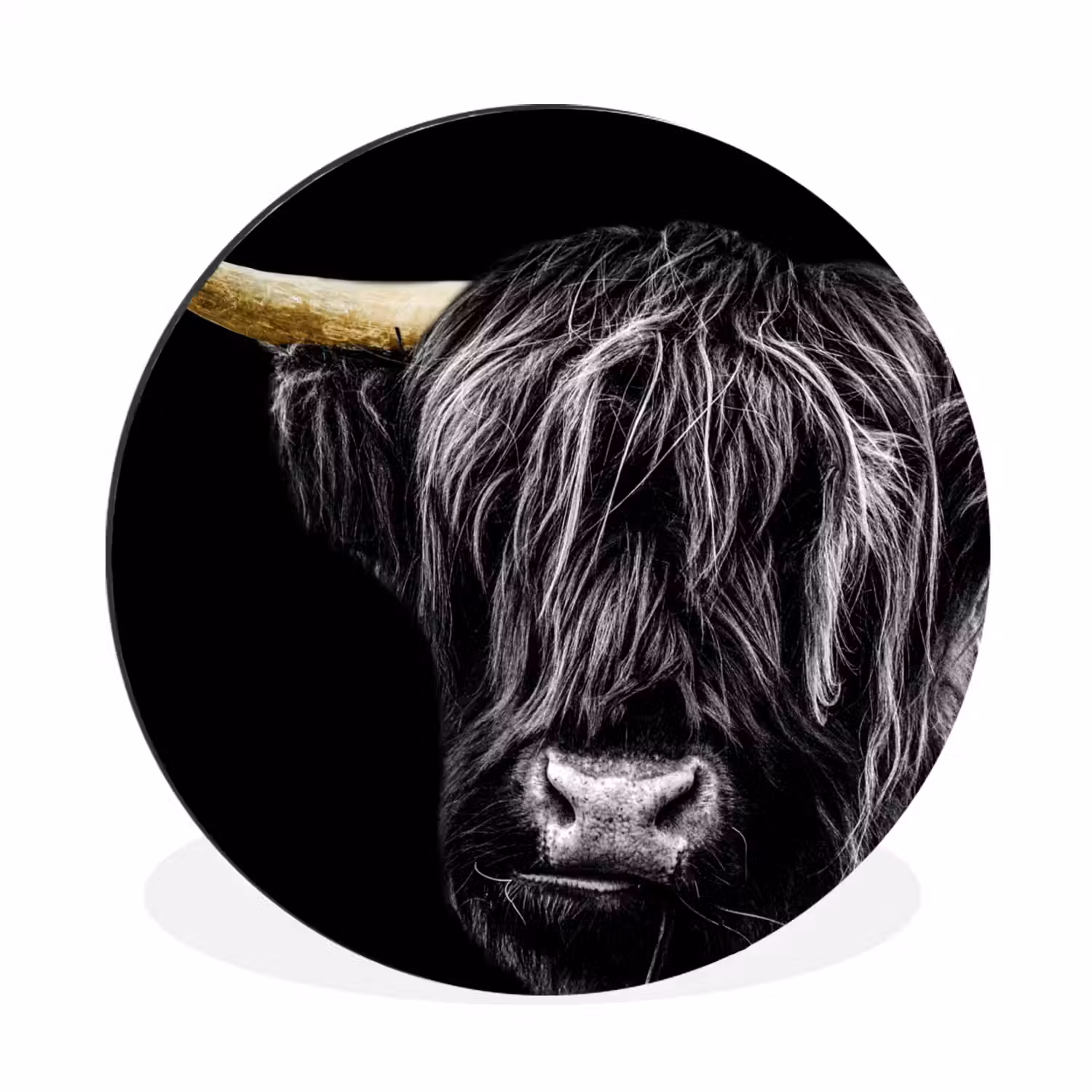 Schotse hooglander - Goud - Vacht - Dieren - Koe Wandcirkel aluminium klein -3d